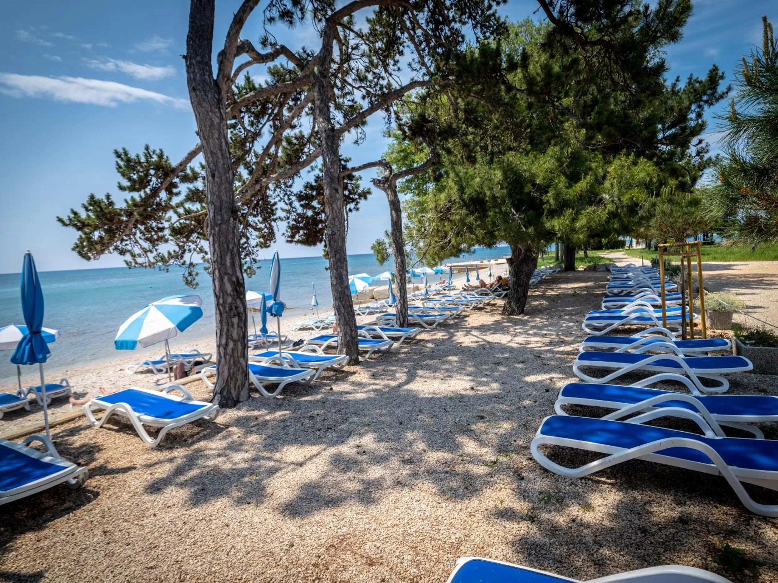 Natural landscape in Hotel Villa Rosetta