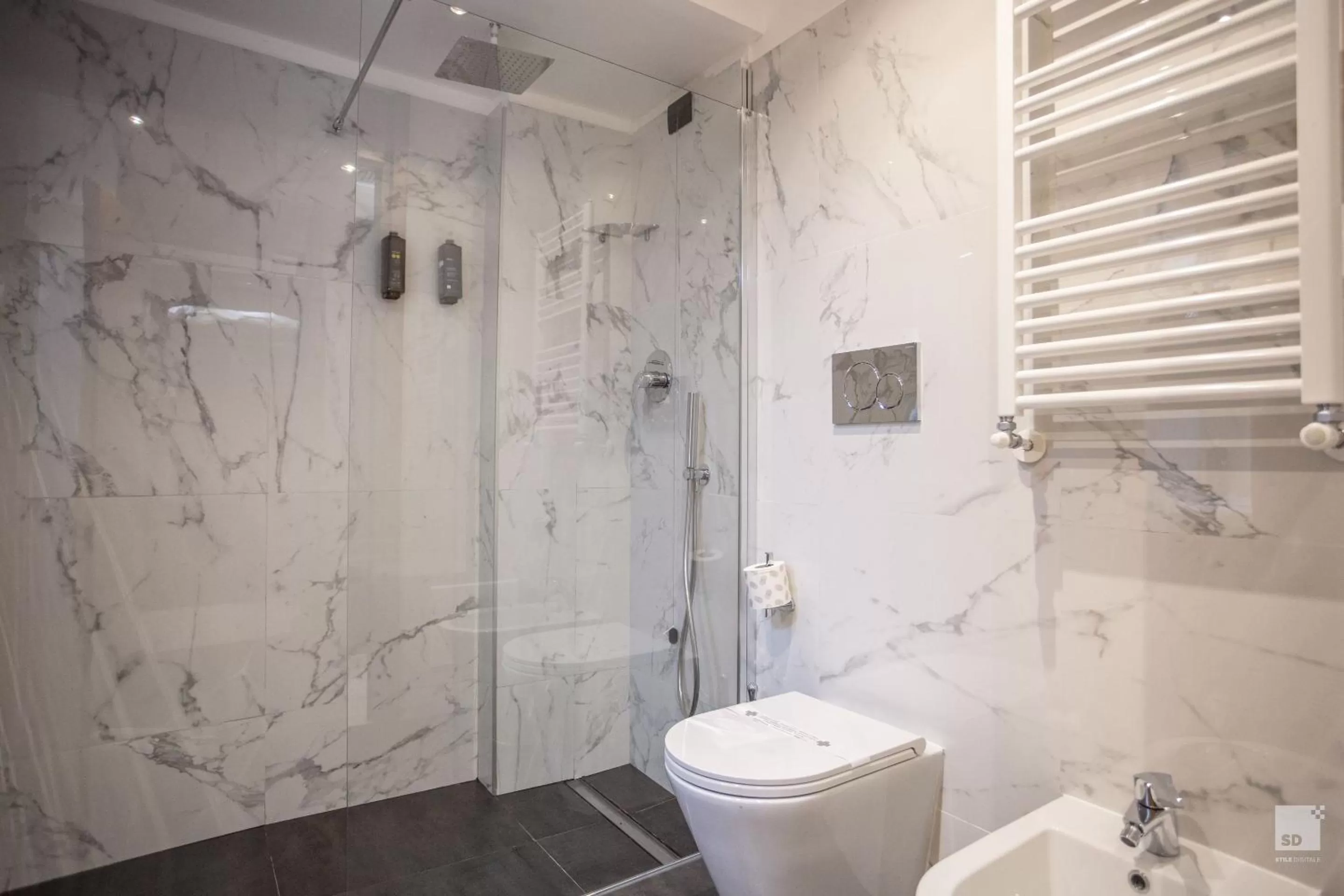 Shower in Hotel Diplomatic