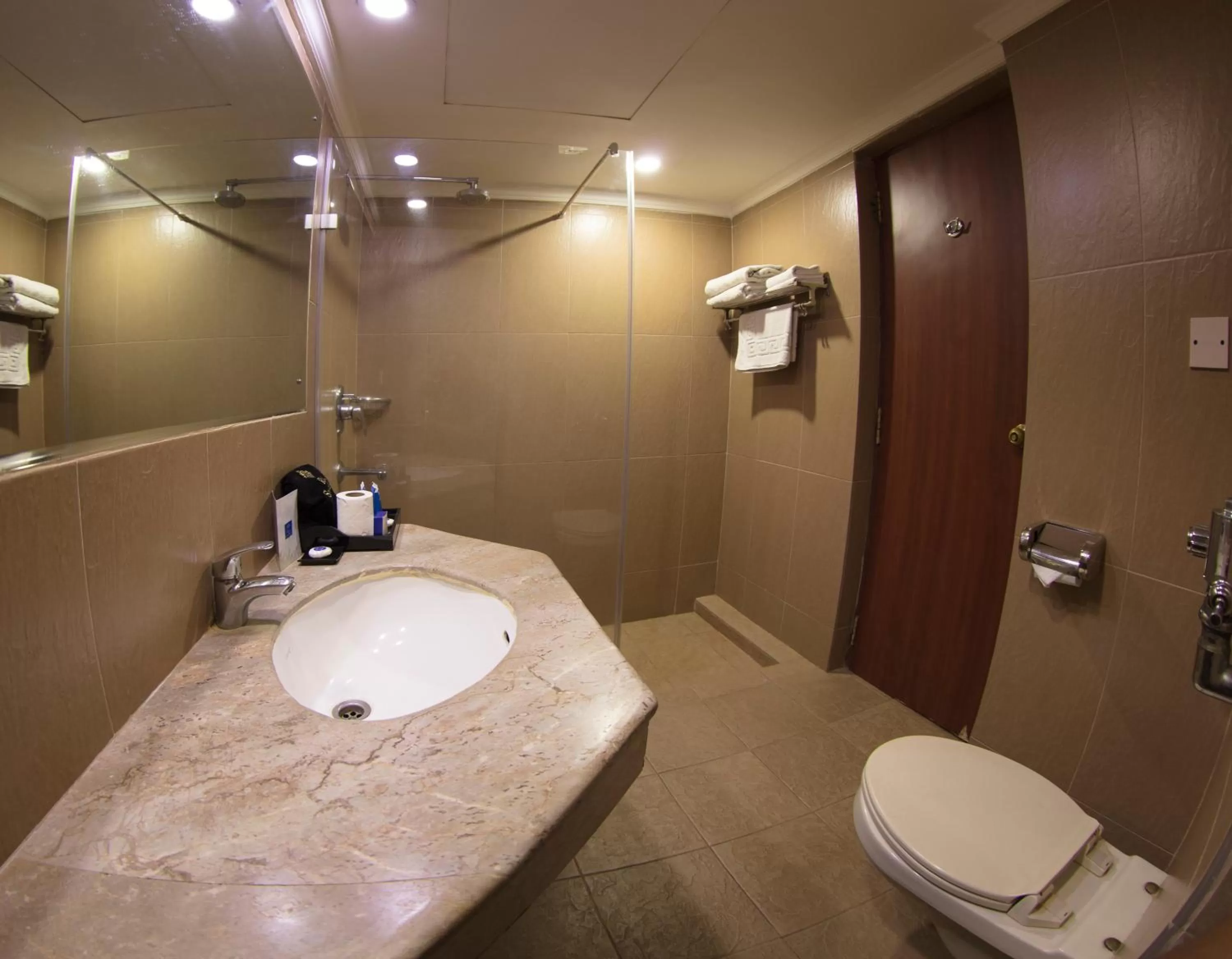 Shower in Royal Singi Hotel