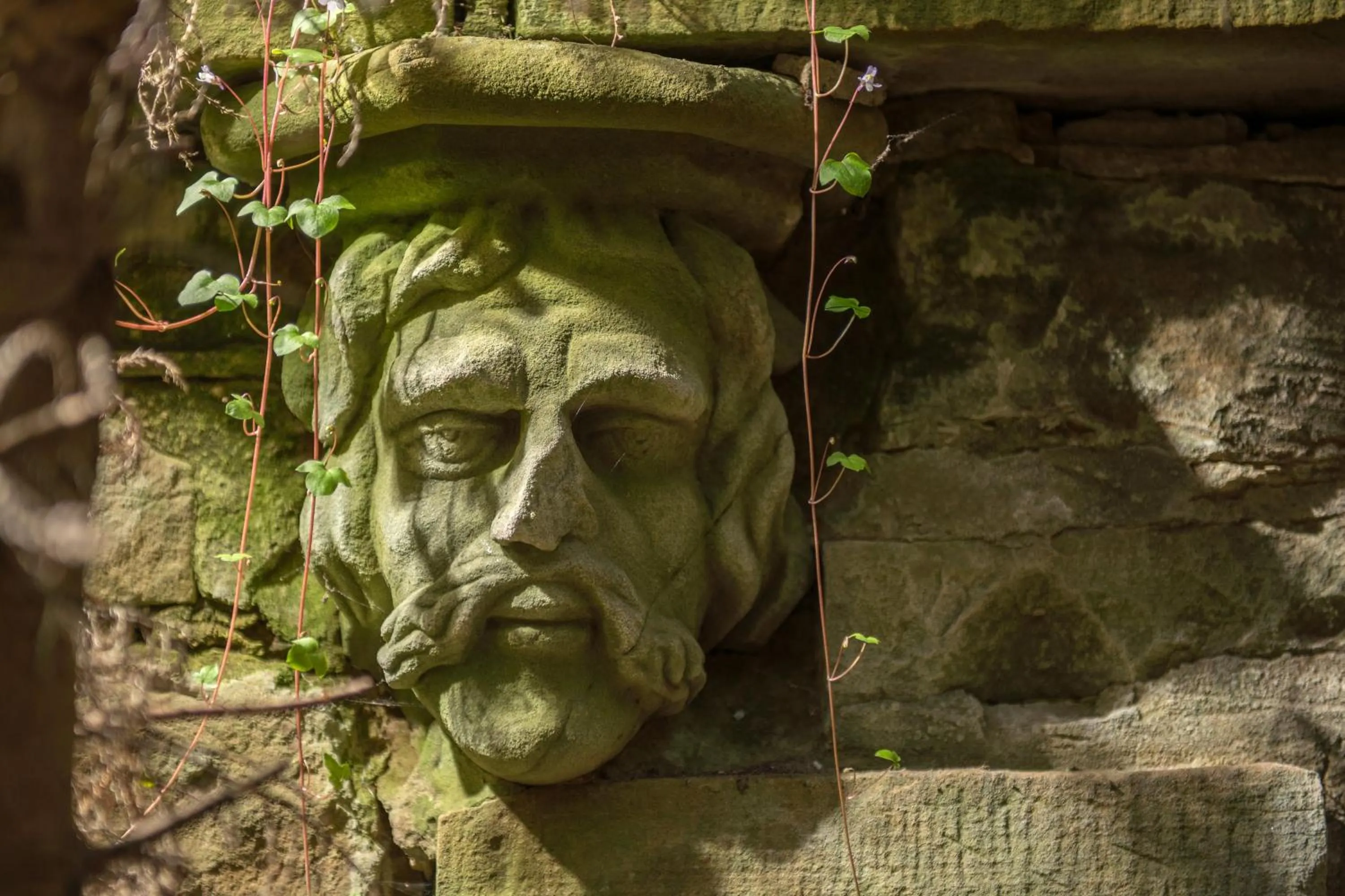 Property building in Bankton House