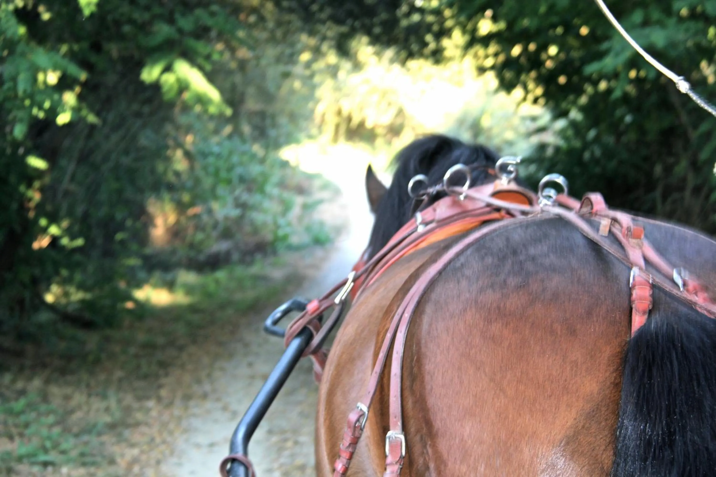 Other in Carmo's Boutique Hotel - Small Luxury Hotels of the World