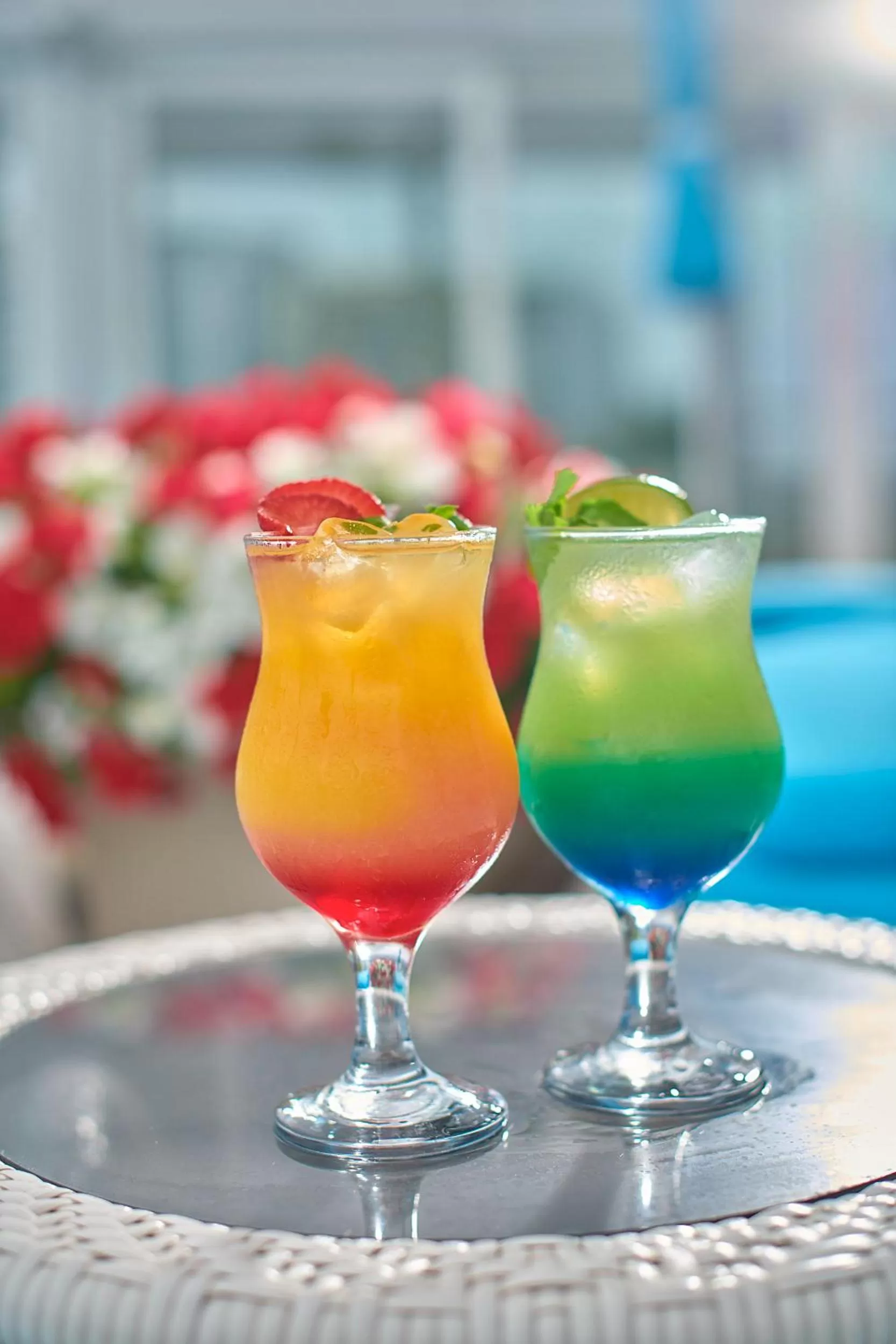 Restaurant/places to eat, Drinks in Hotel & Spa NEMO with dolphins