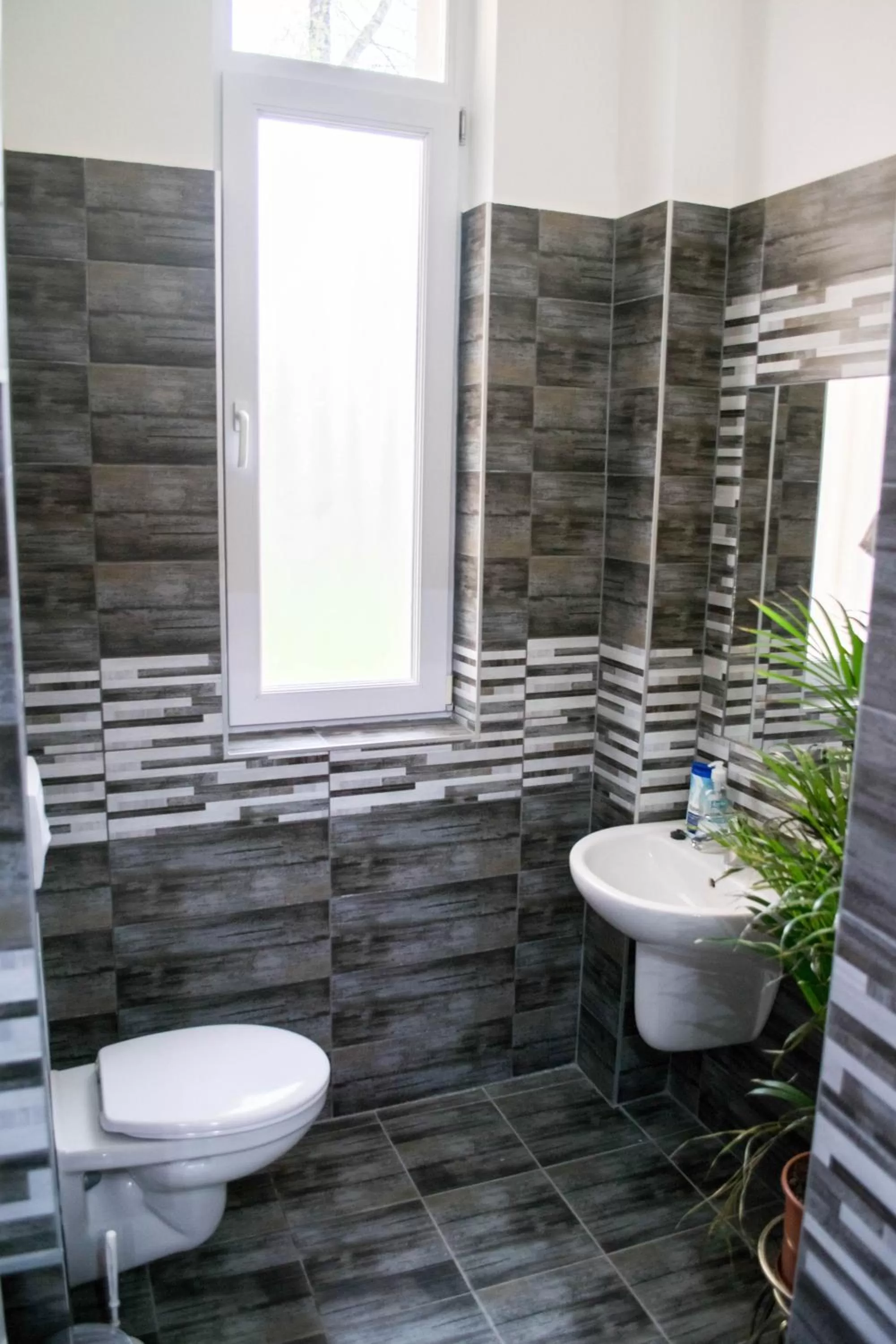 Toilet, Bathroom in Petra Hotel