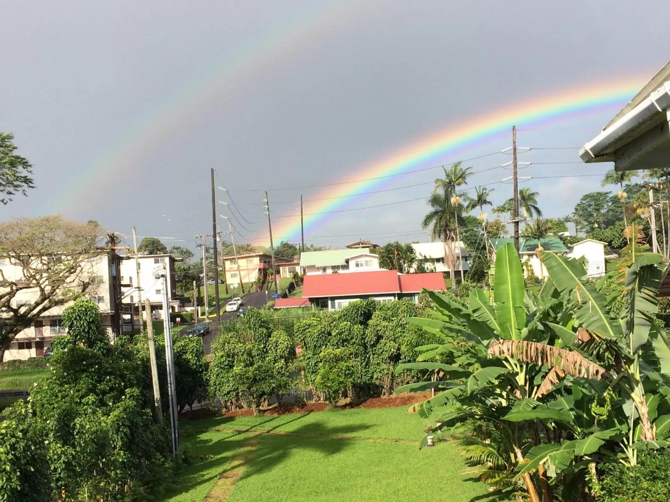 Garden view in Hilo Bay Oceanfront Bed and Breakfast