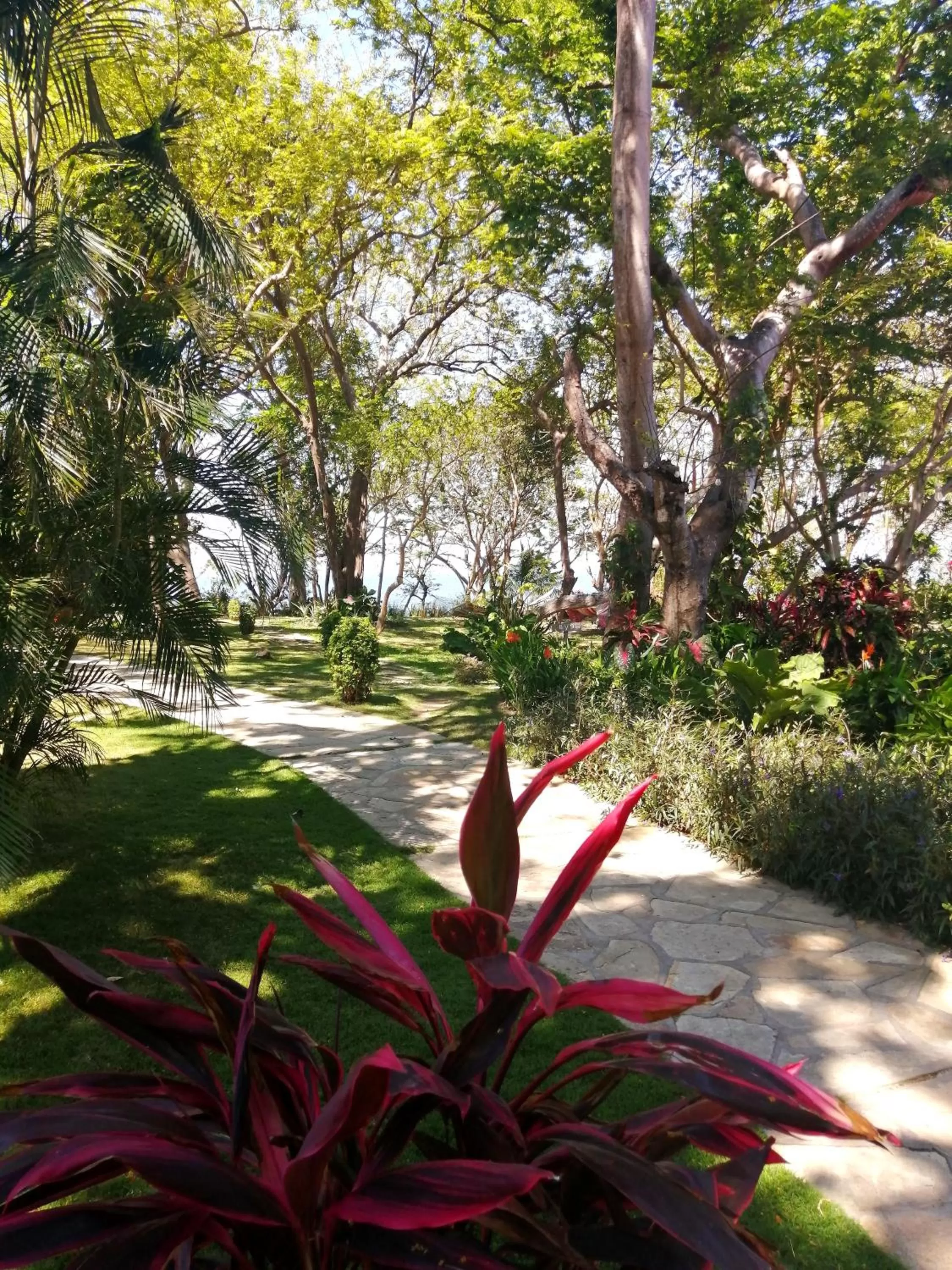 Garden view, Garden in Xalli Beach Hotel