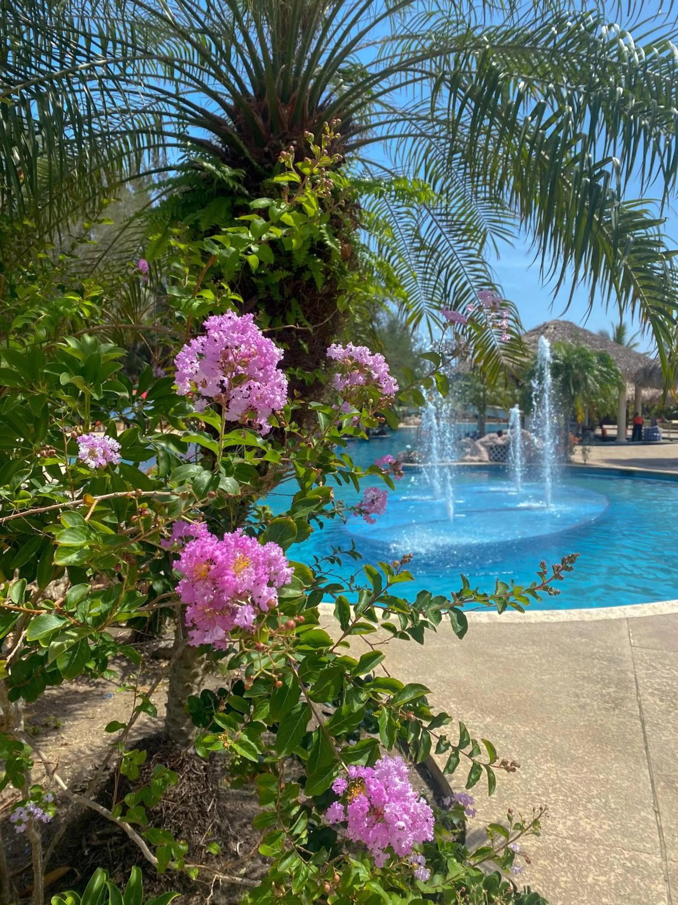 Swimming Pool in La Ensenada Beach Resort