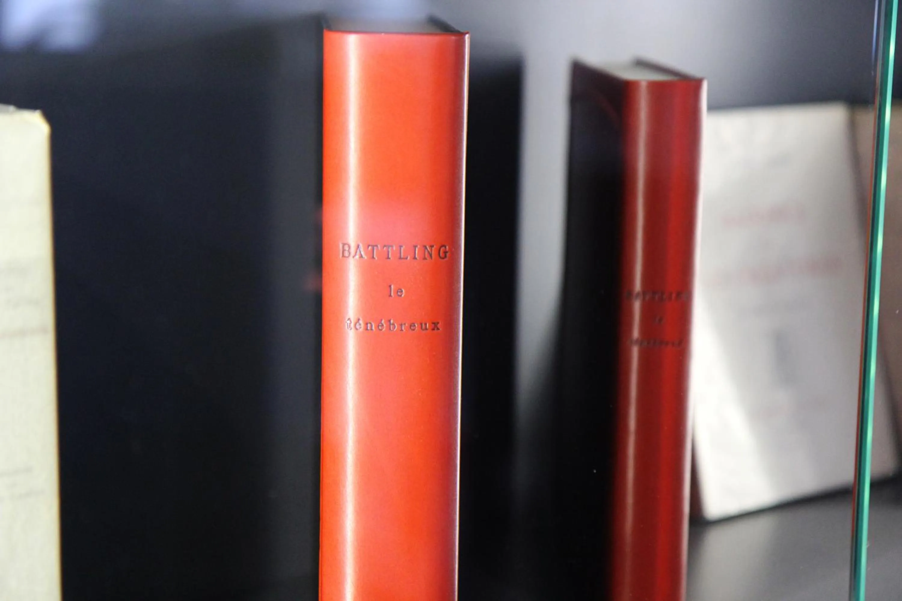 Decorative detail in Hotel Litteraire Alexandre Vialatte, BW Signature Collection