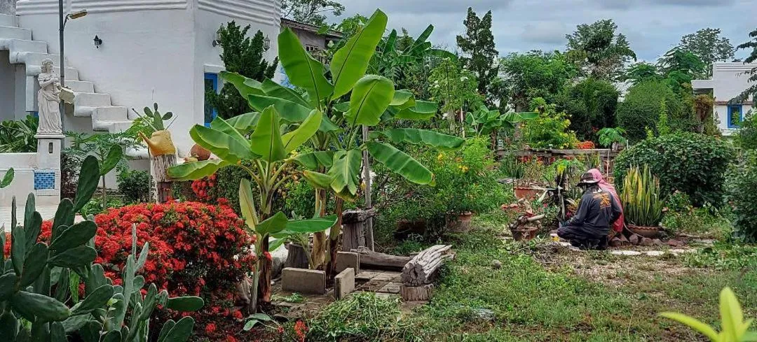 Scenic Riverside Resort