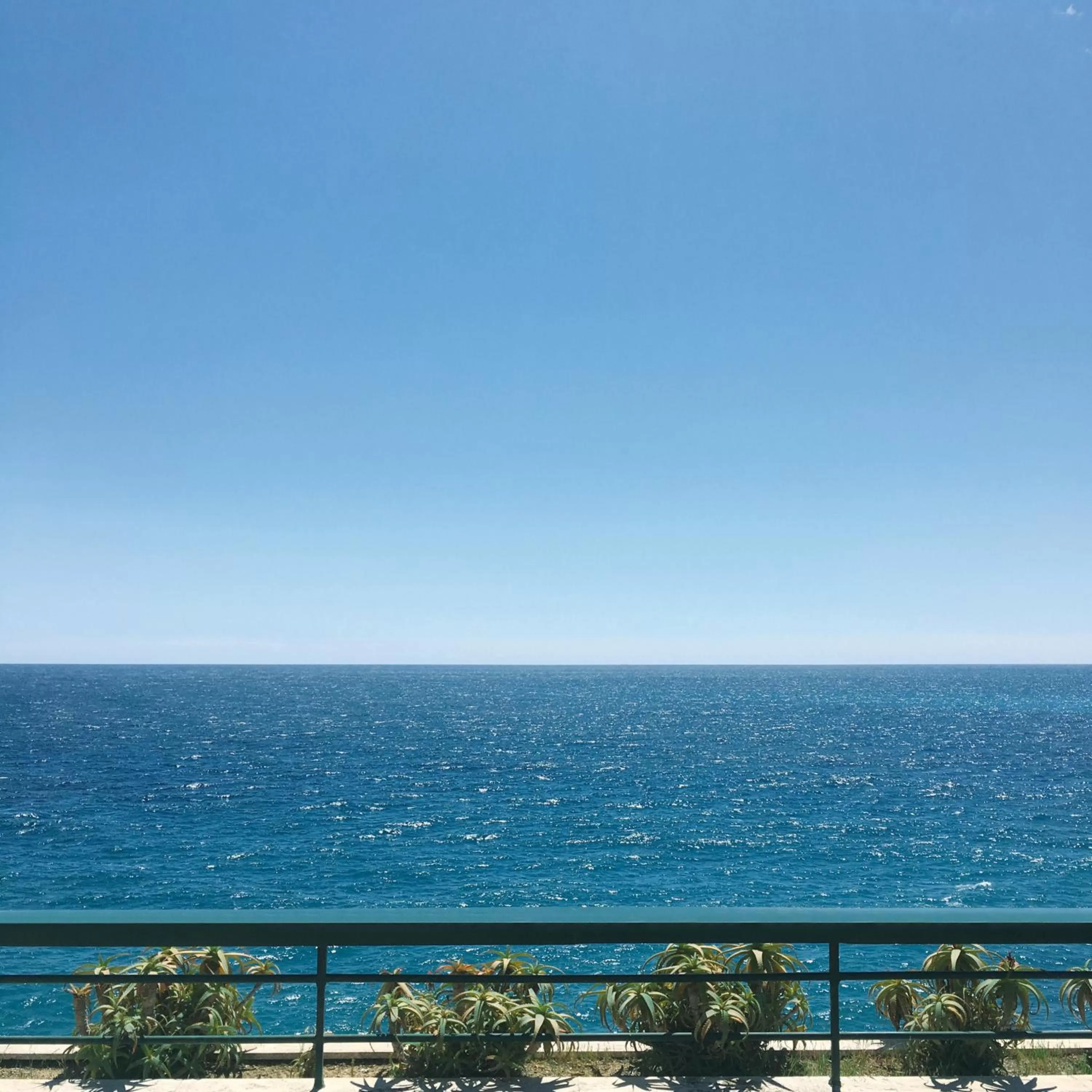 Garden in Grand Hotel Del Mare Resort & Spa