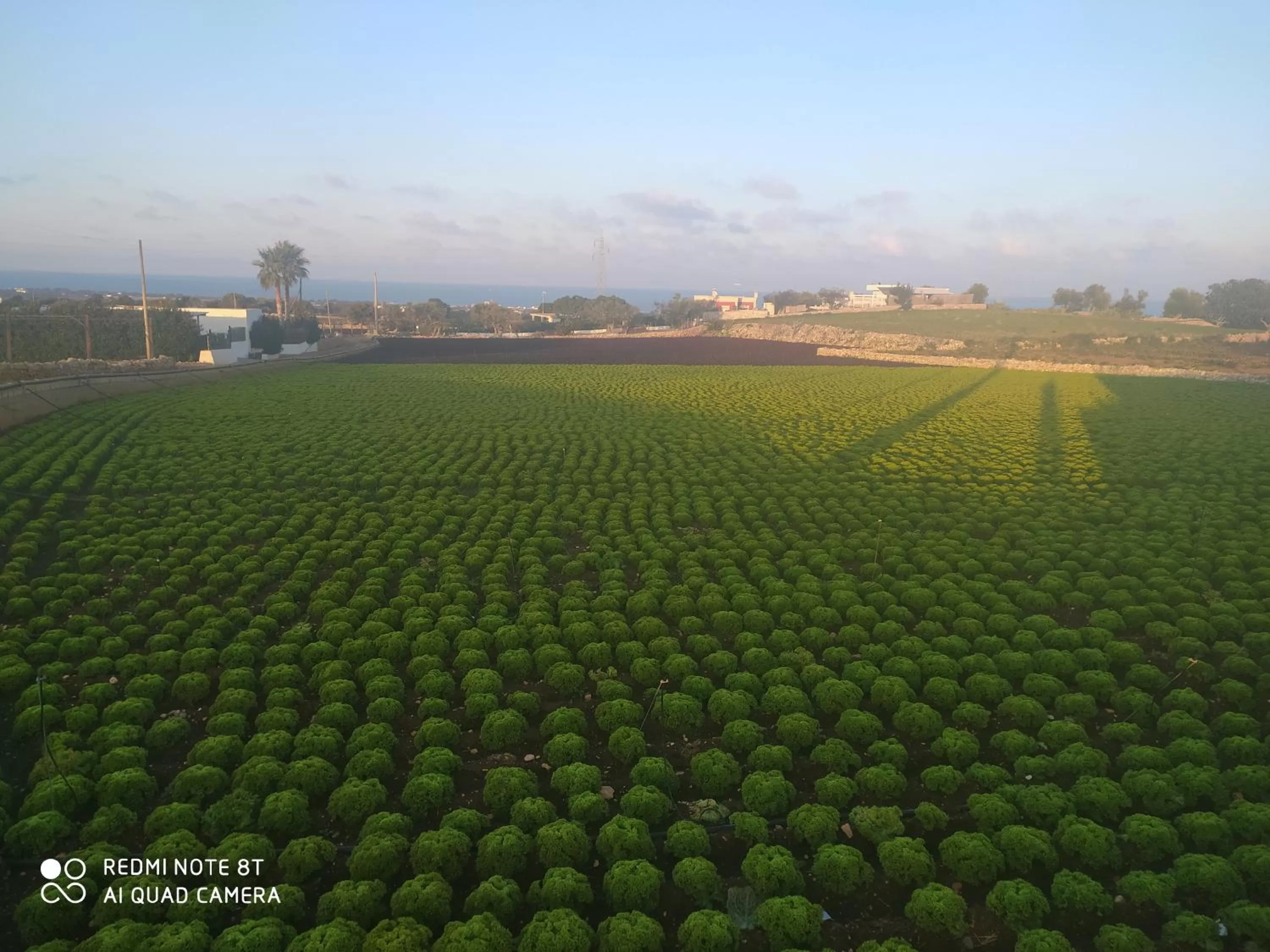 Le Dimore Del Sarto Polignano a mare