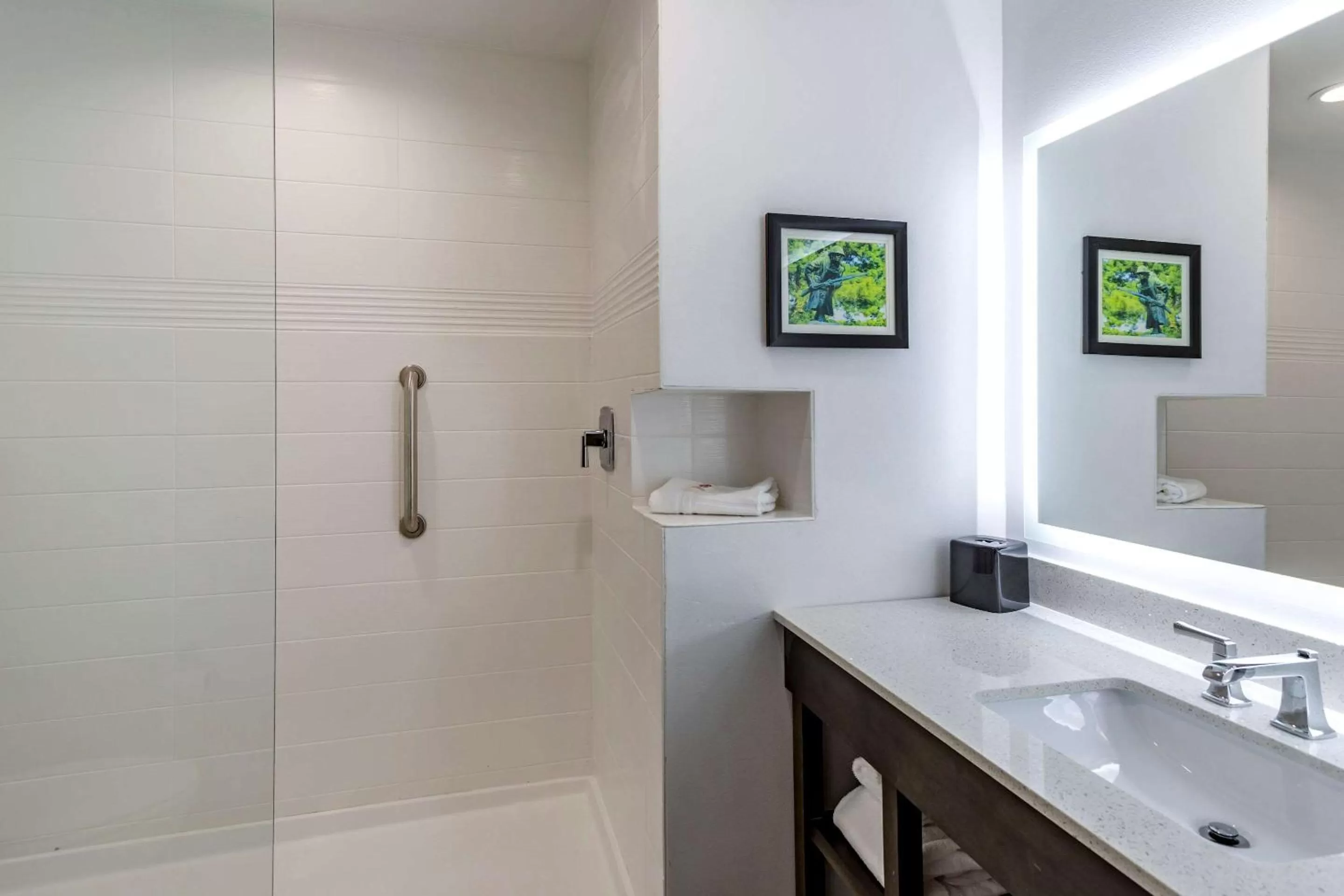 Bathroom in Comfort Inn & Suites Olive Branch - Memphis South