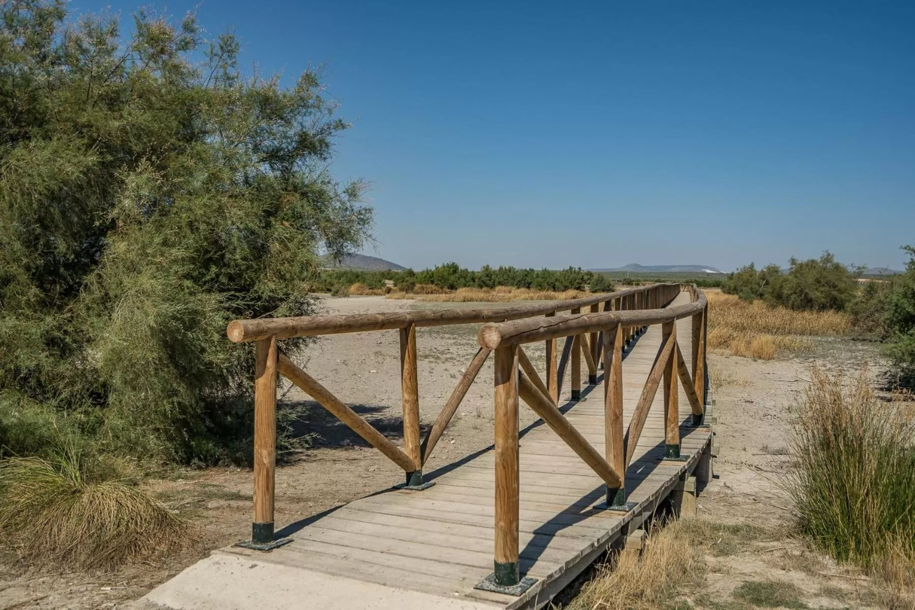 Nearby landmark in Apartamentos La Laguna
