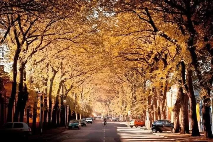 Bed&Breakfast INTERMEZZO CAFFE