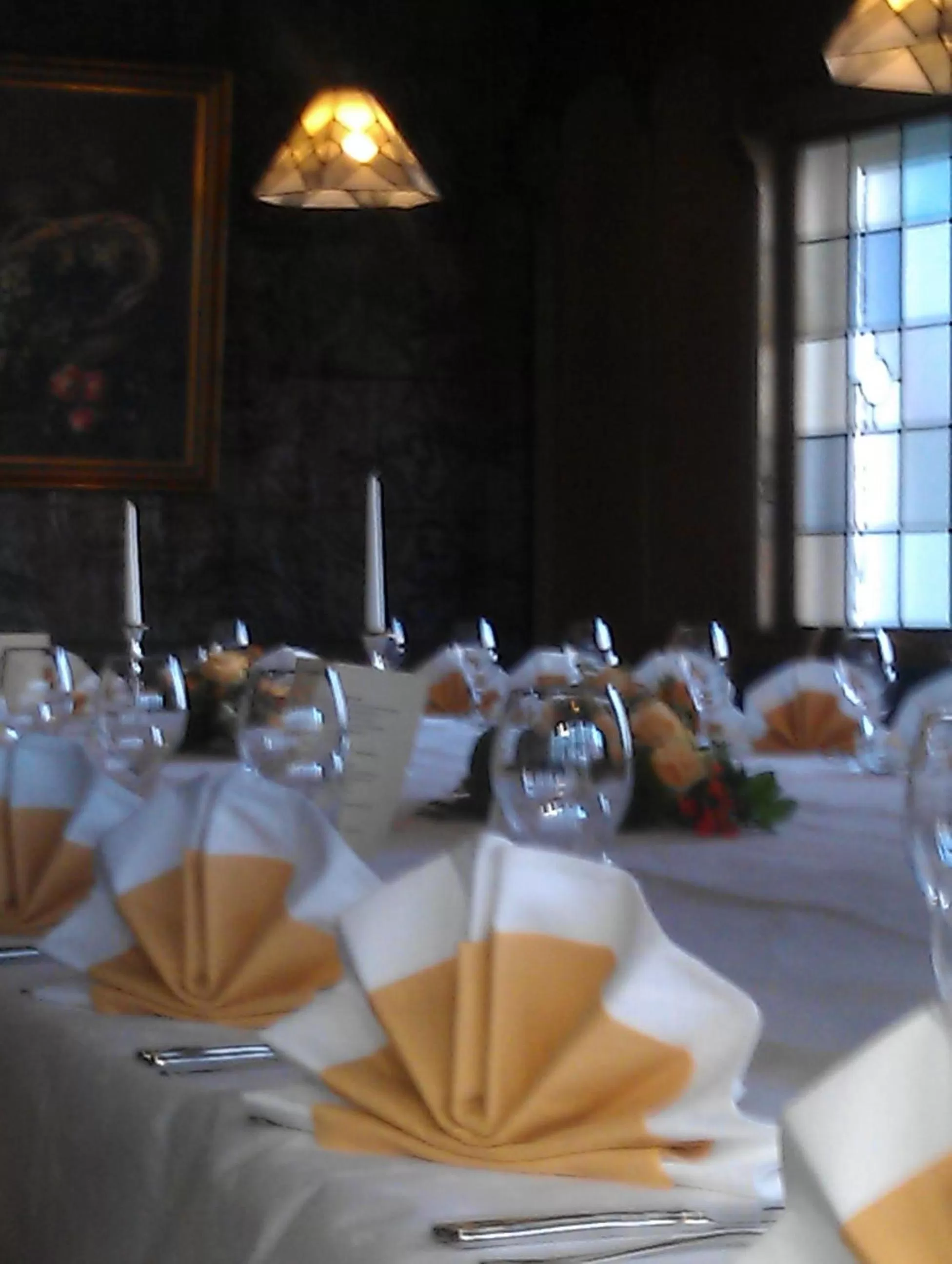 Banquet/Function facilities in Airport Hotel Filder Post