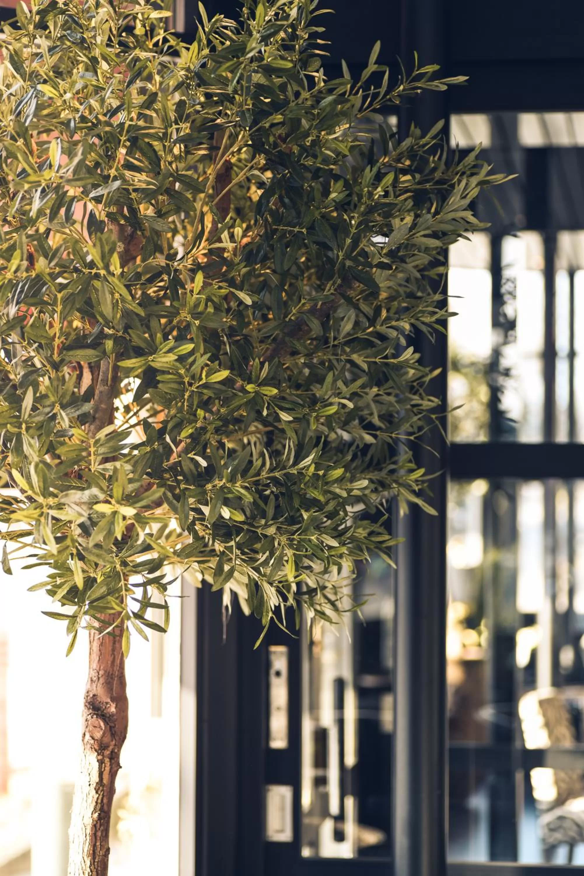 Property building in Statt Hassleholm BW Signature Collection