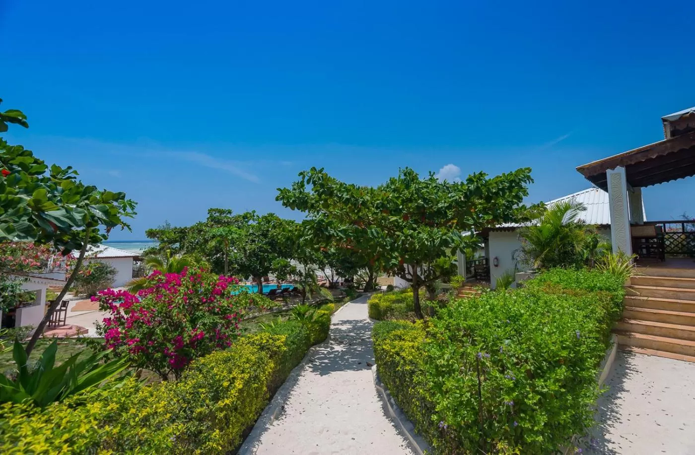 Garden in Warere Beach