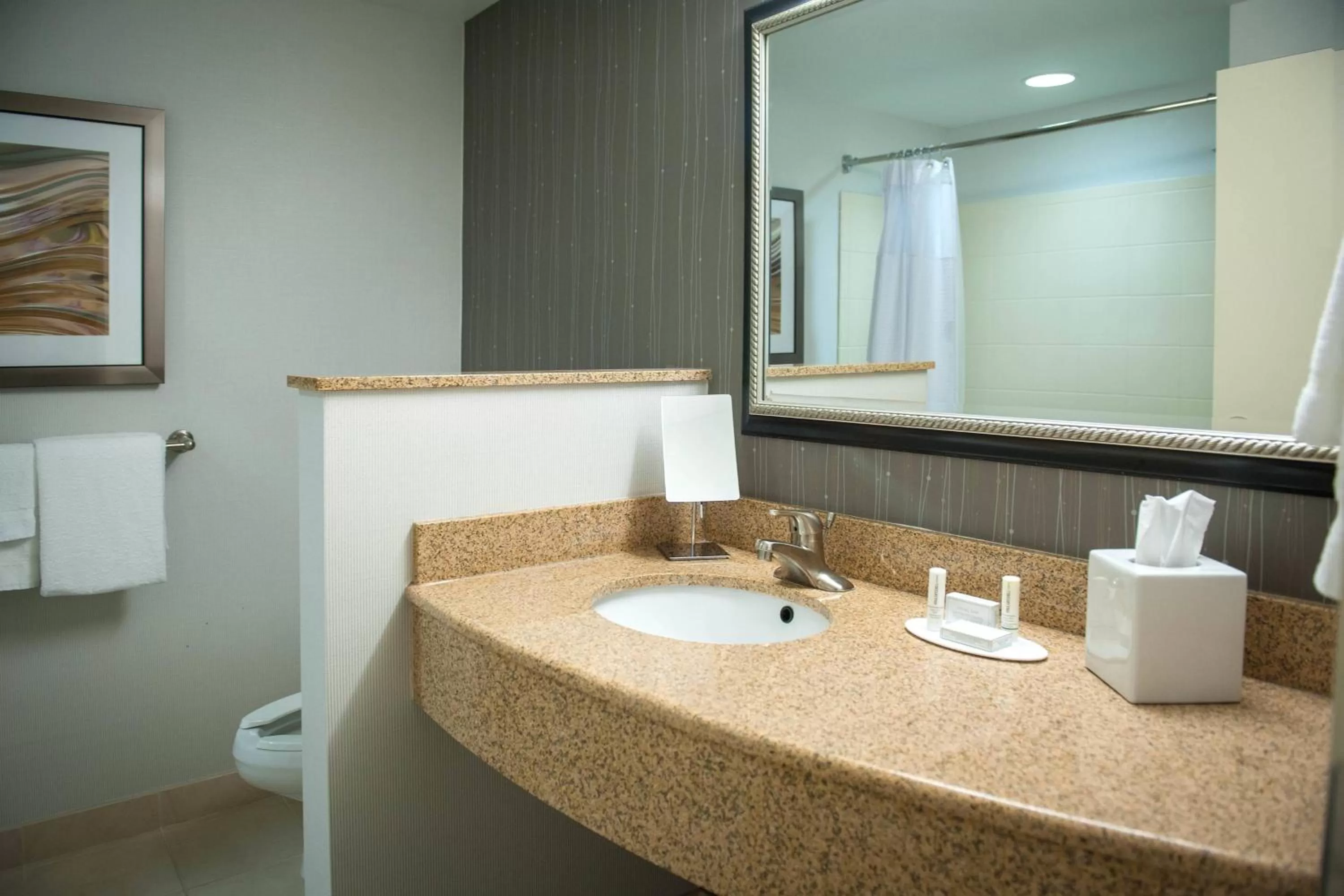 Bathroom in Courtyard by Marriott Pensacola Downtown