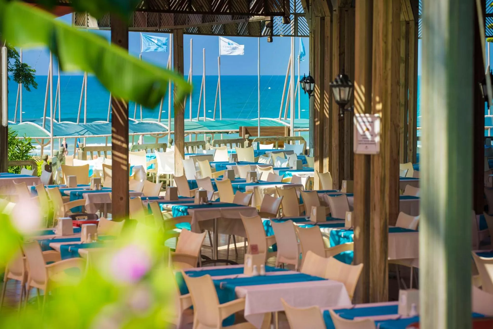 Food and drinks in Hotel Terrace Beach Resort All Inclusive