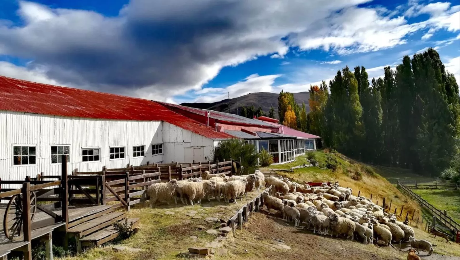 Hostería El Galpón Del Glaciar