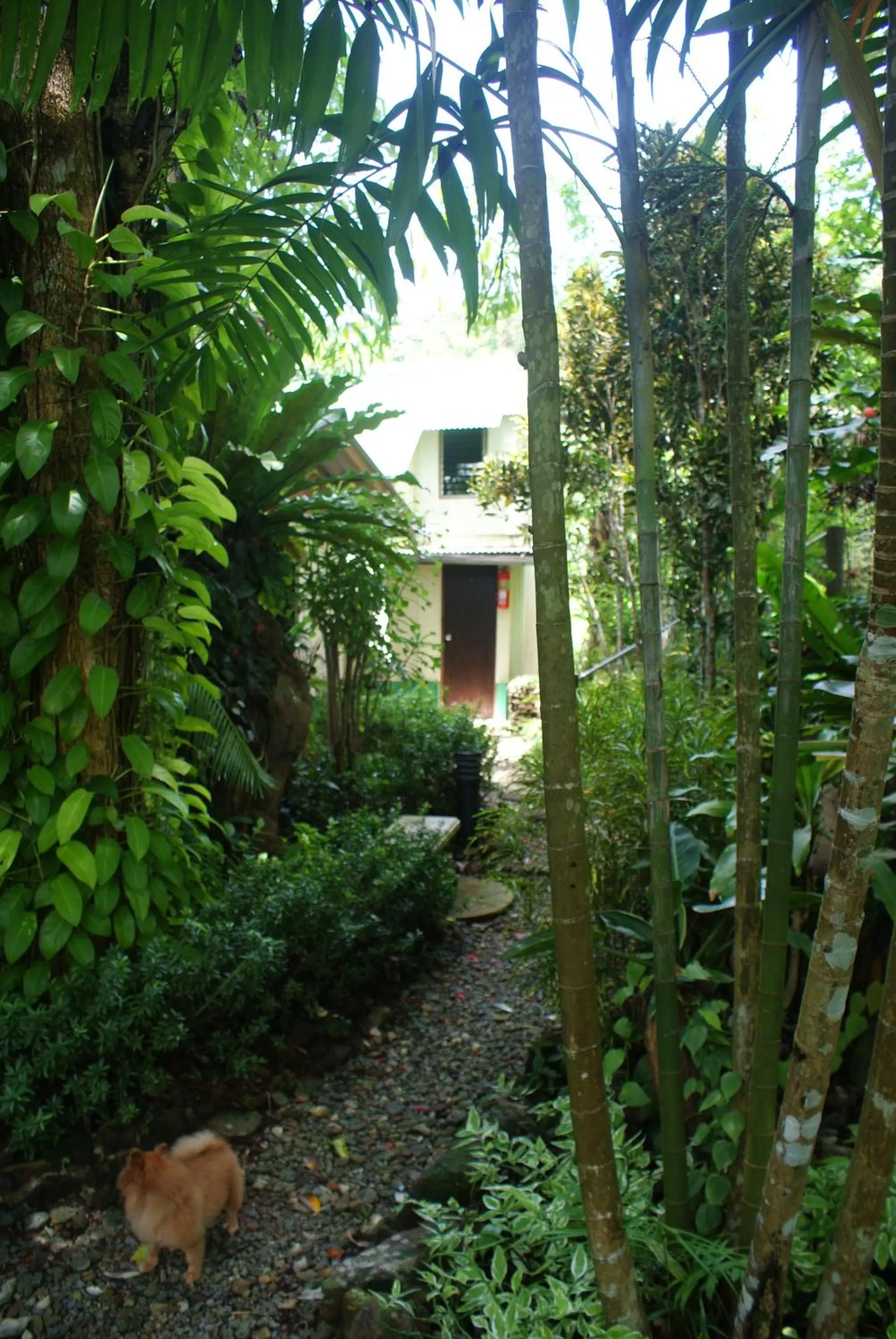 Garden, Property Building in Rock Inn Bailan