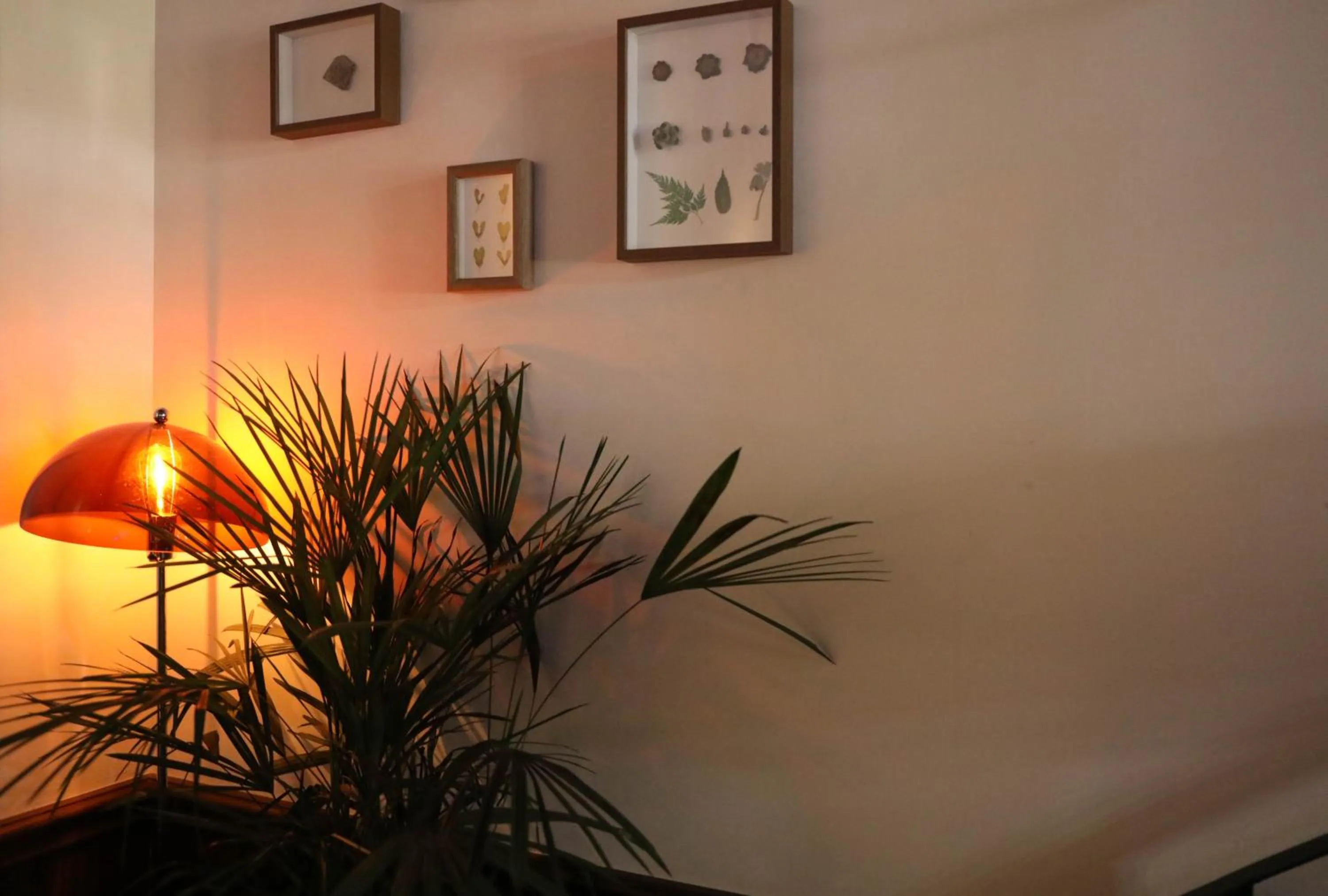 Decorative detail in SONDERIA Lazybones Hostel- Wenshu Temple Side, Chill Hostel with All-Day Brunch, Travel Agency in English & Local Bar Vibes