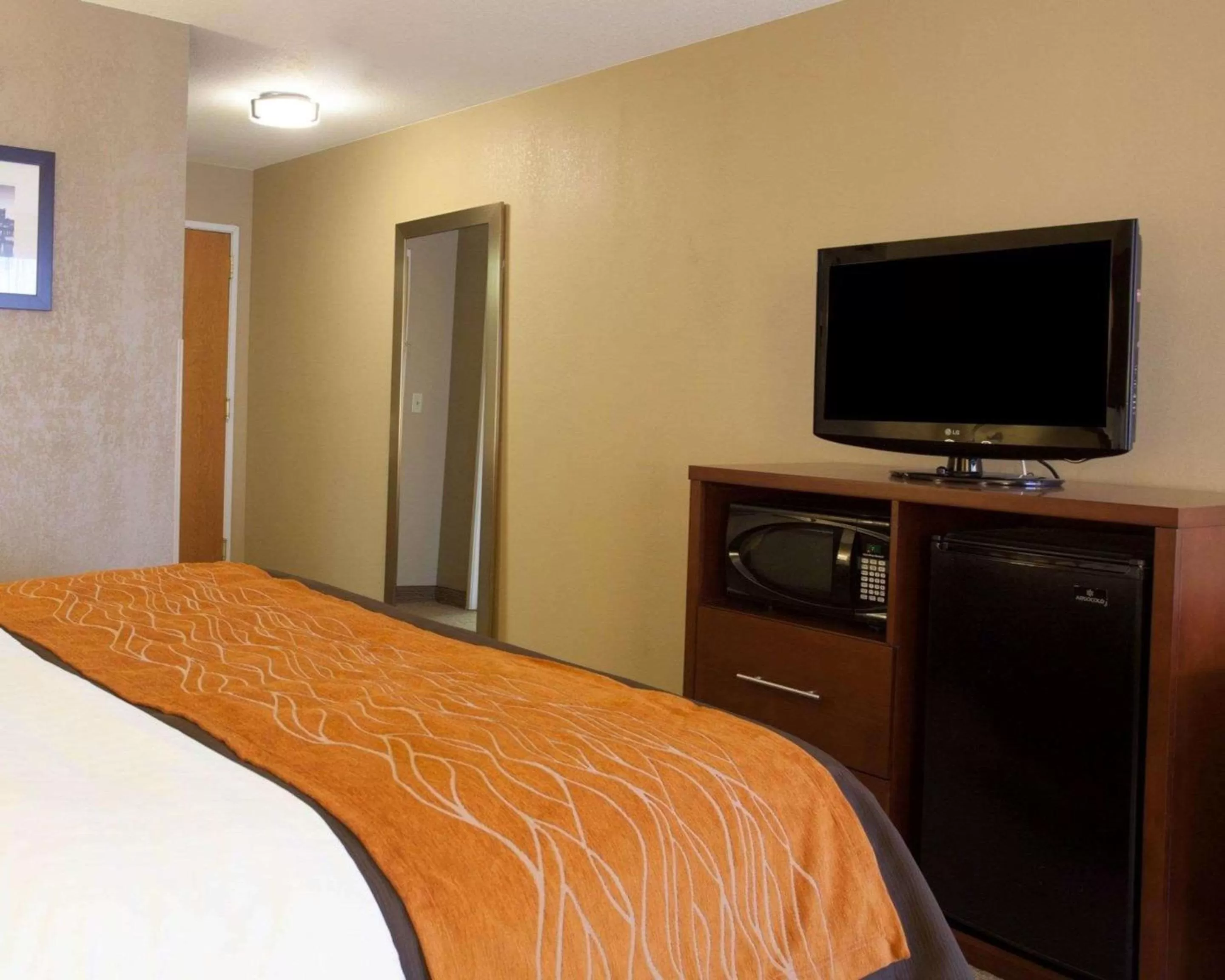 Photo of the whole room, Bed in Quality Inn & Suites I-40 East