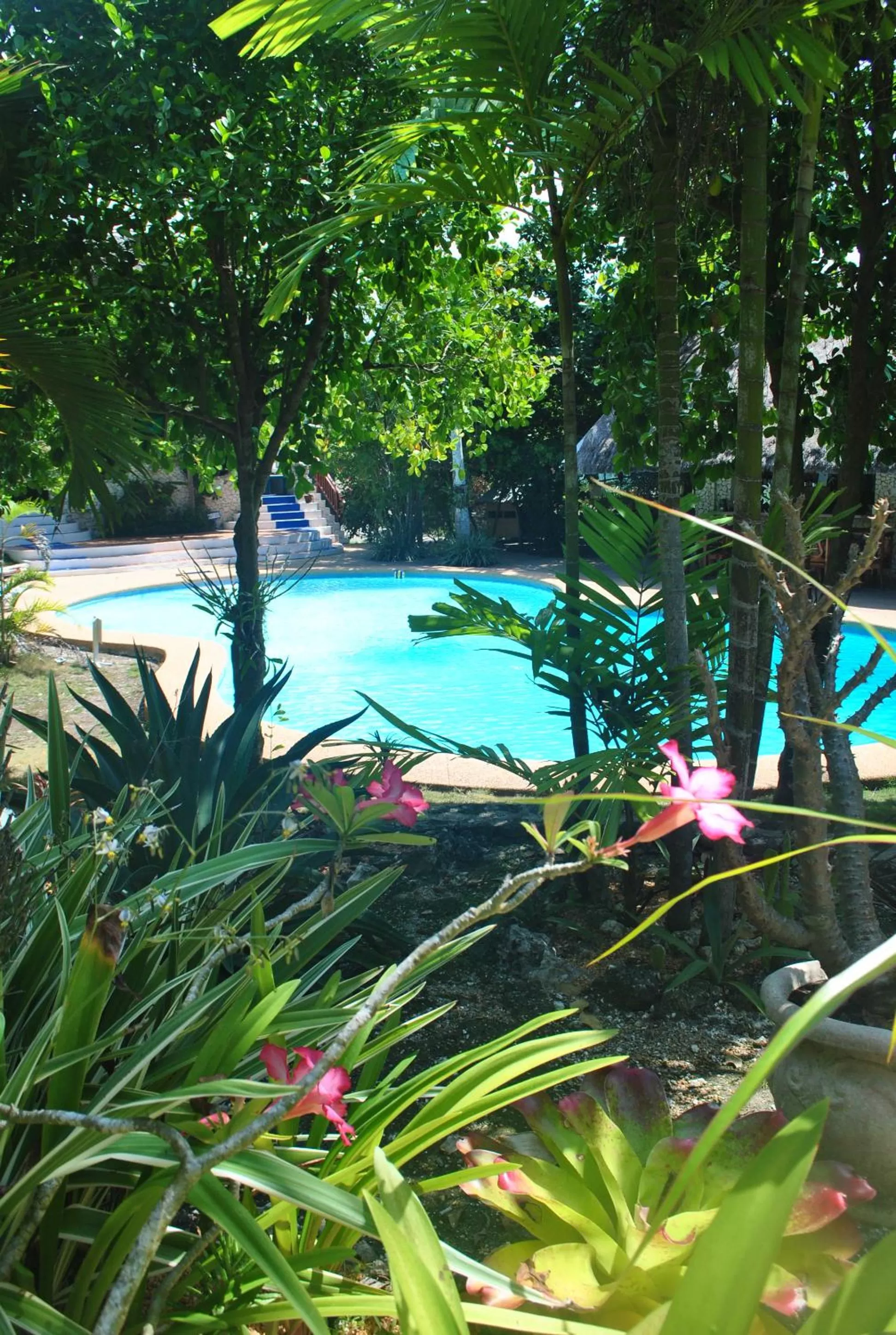 Swimming pool in The Blue Orchid Resort