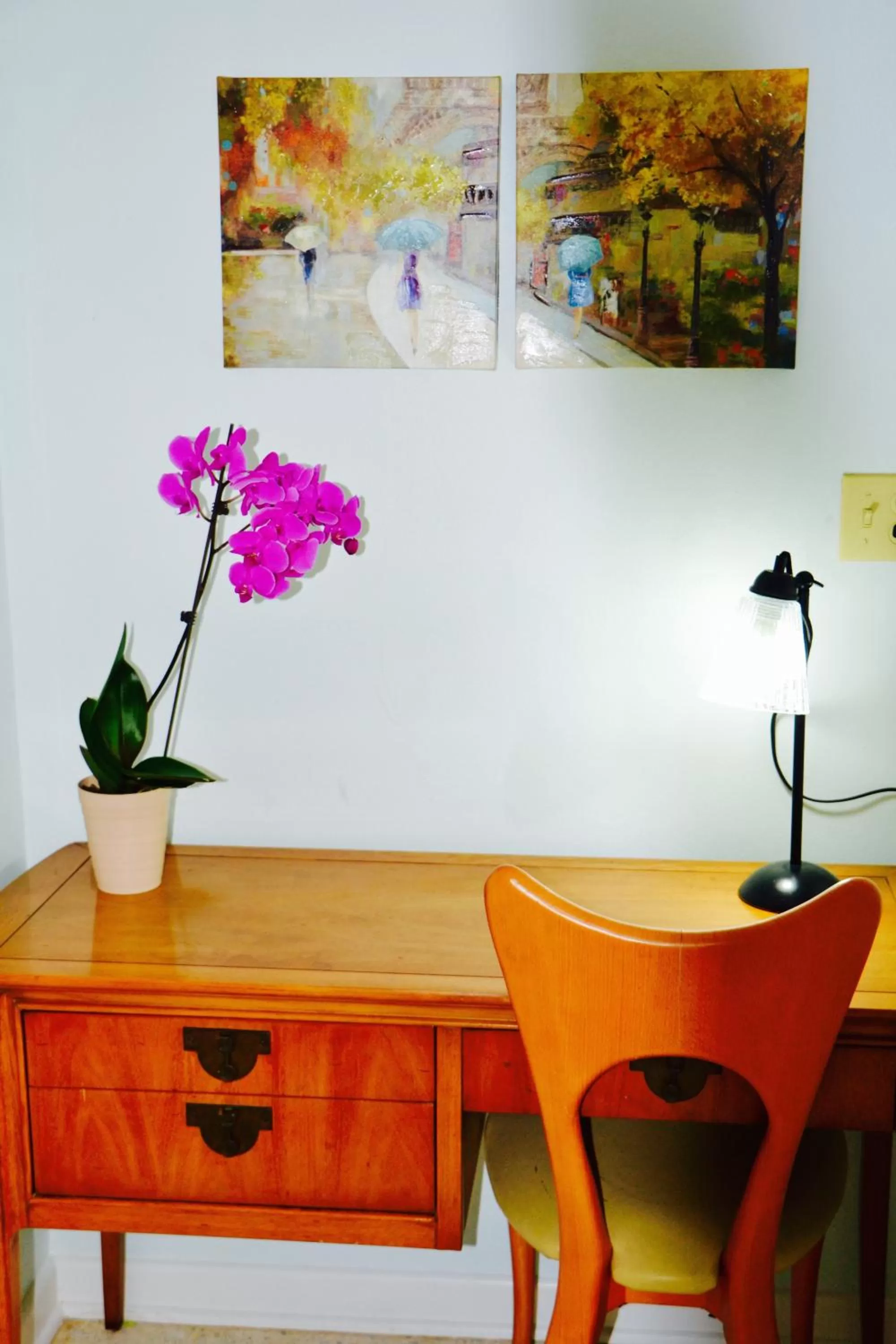 Decorative detail in Sea Turtle Inn