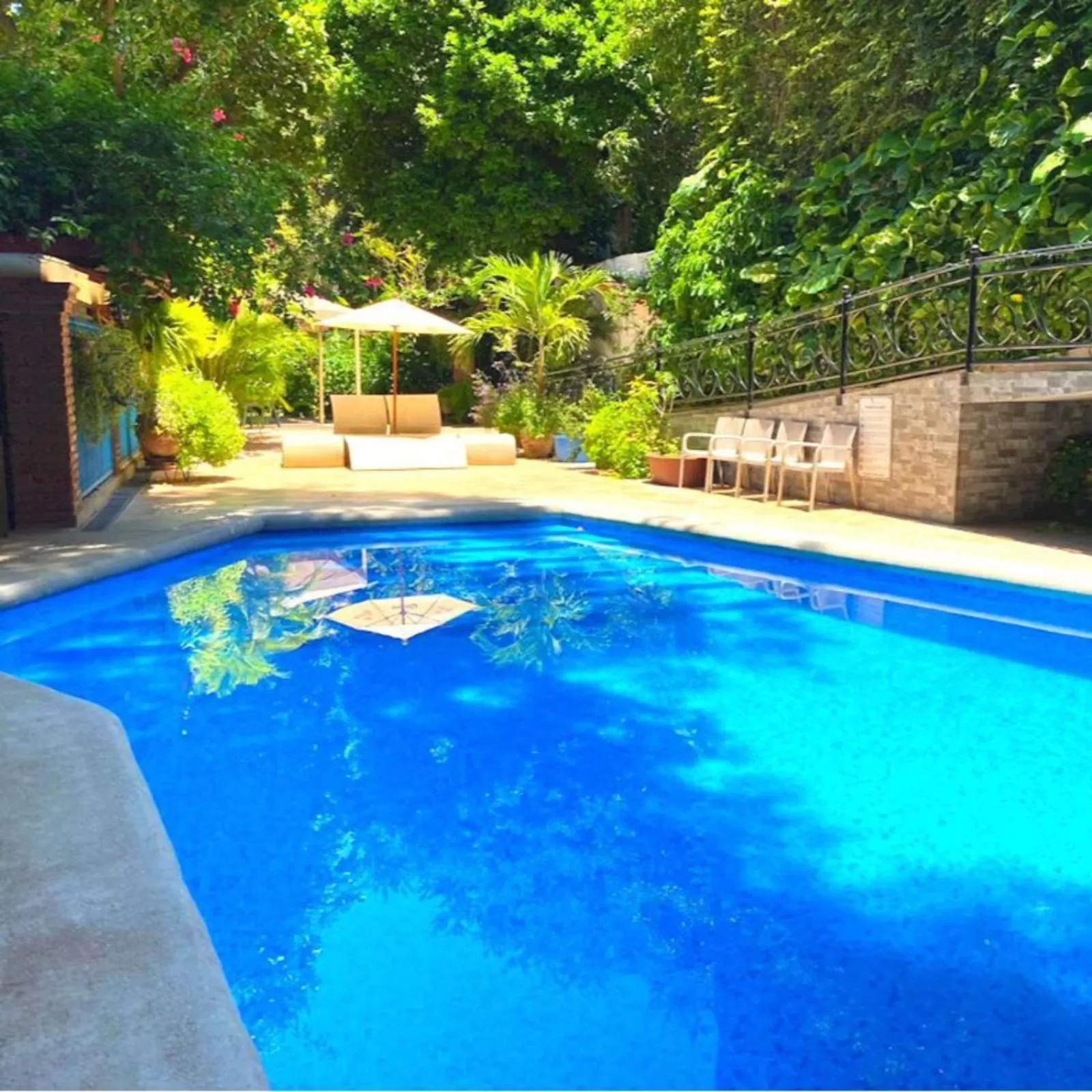 Swimming pool in Hotel La Ceiba