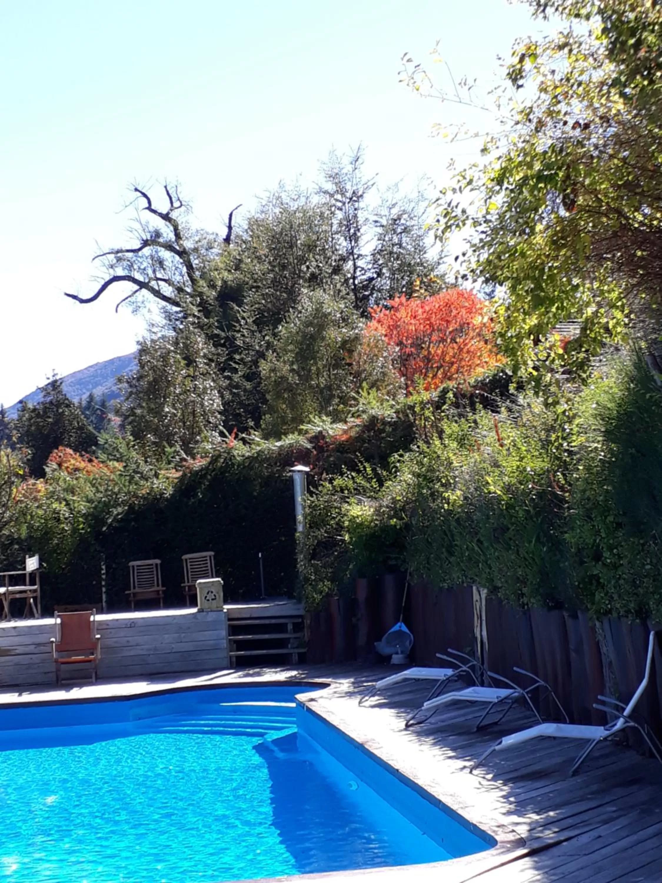 Natural landscape, Swimming Pool in Amigos del Bosque