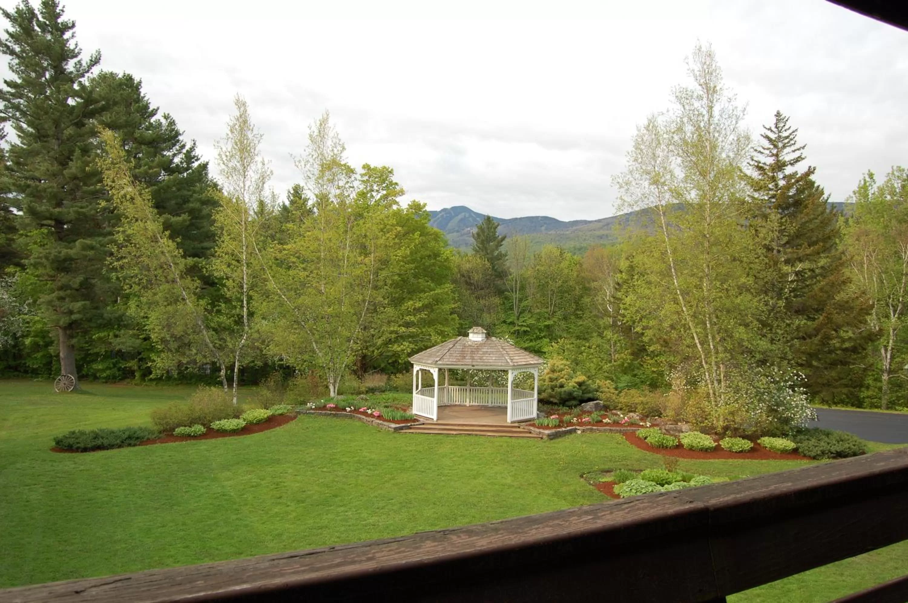 Garden view in Summit Lodge