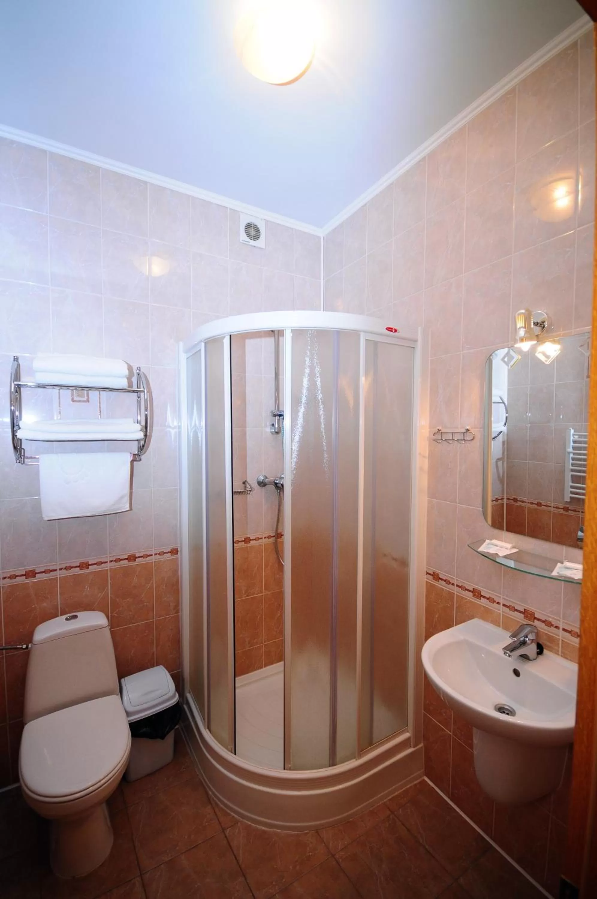 Bathroom in Chervona Gora