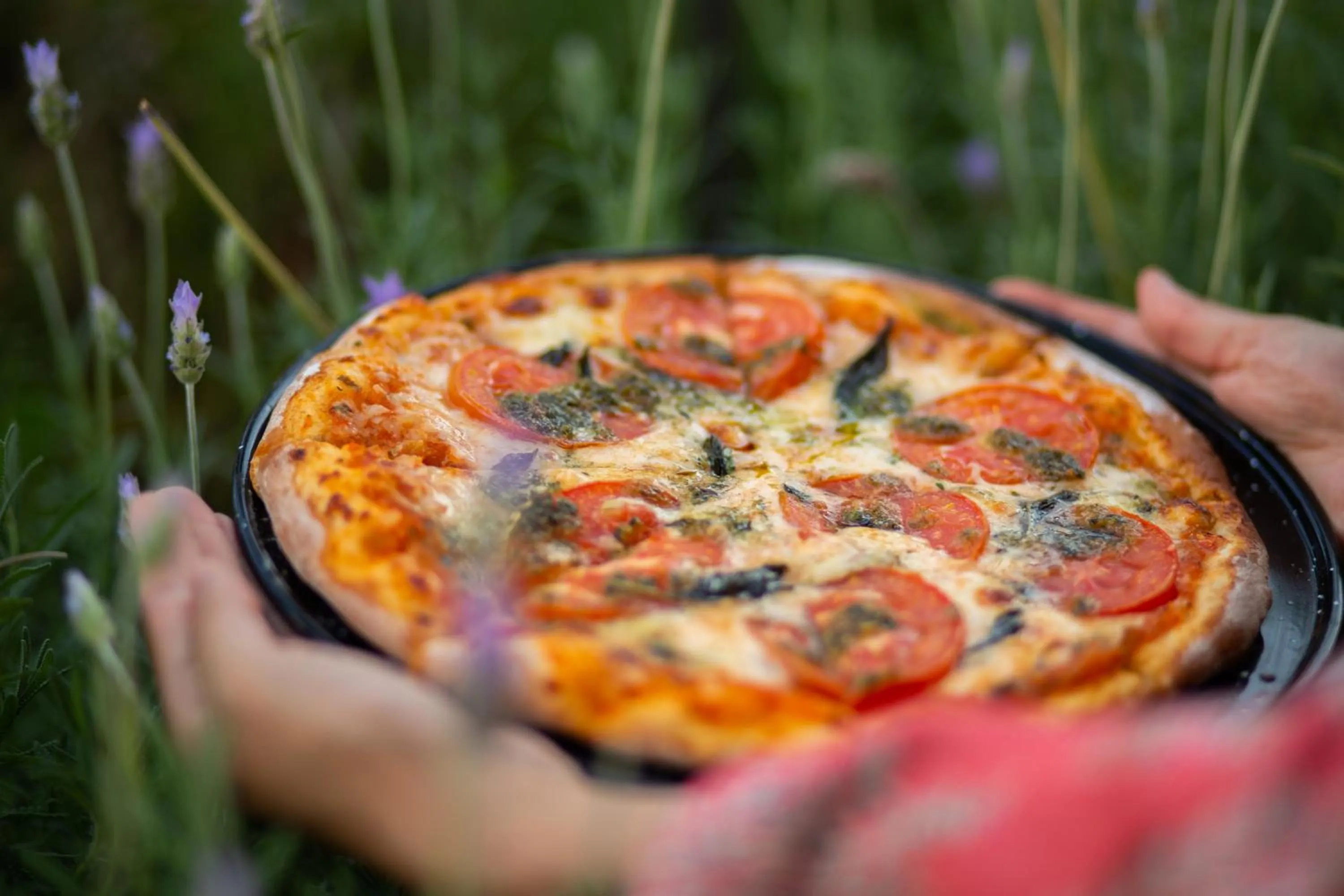 Food and drinks in Cantera 10 Hotel Boutique