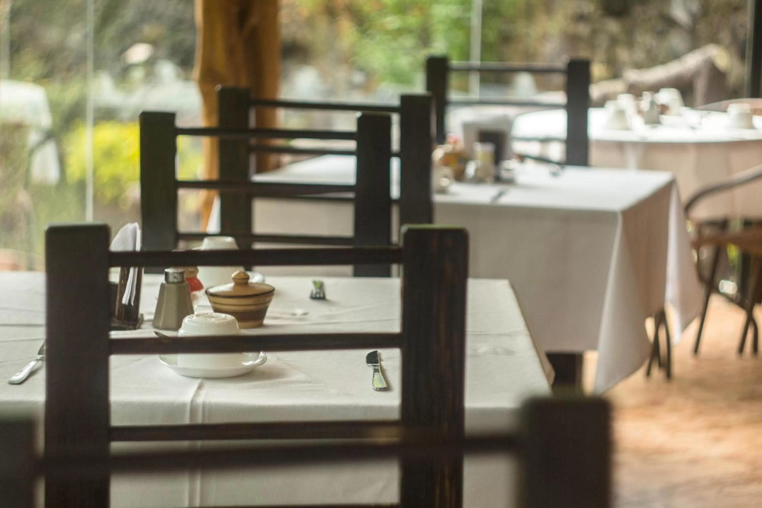 Restaurant/Places to Eat in Aldea Real Eco Friendly