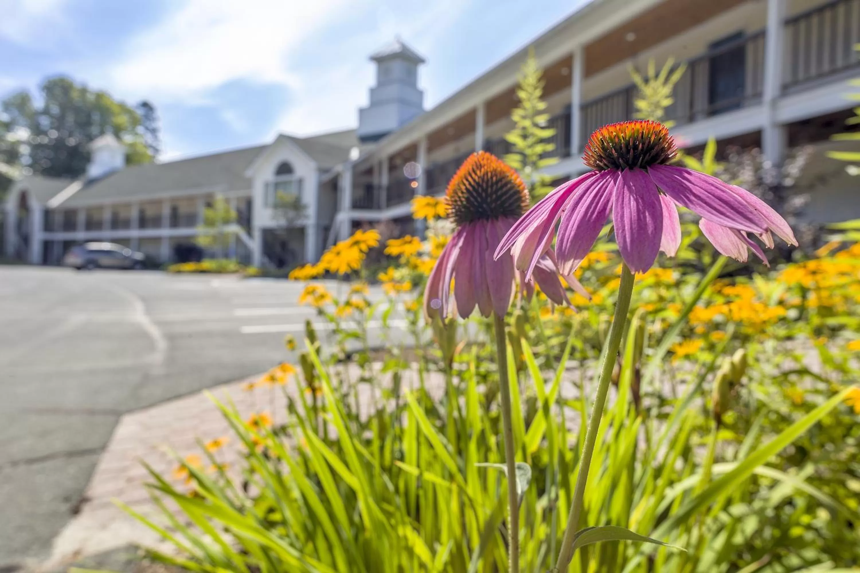 Facade/entrance in Fairbanks Inn