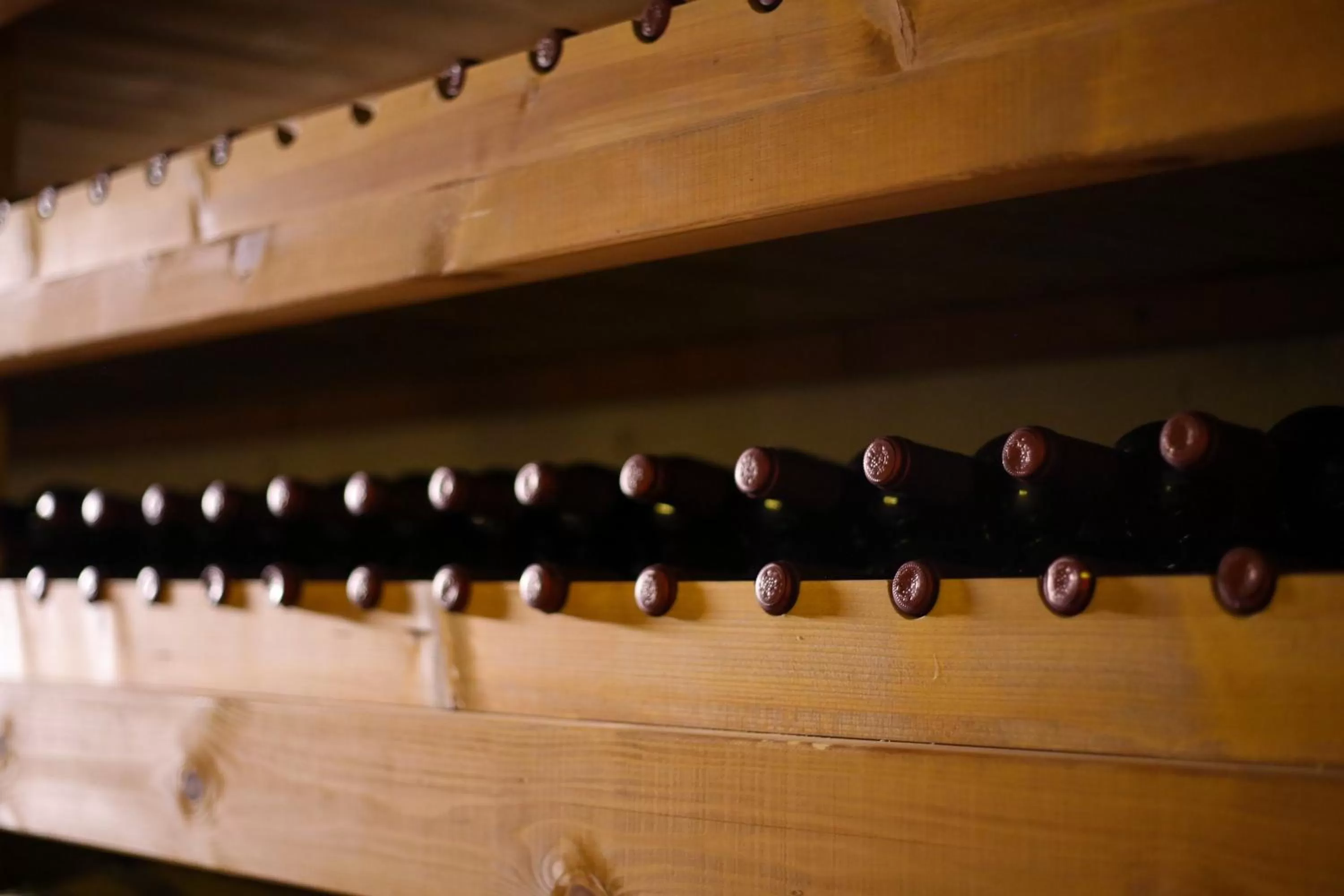 Drinks in Hotel Rolex