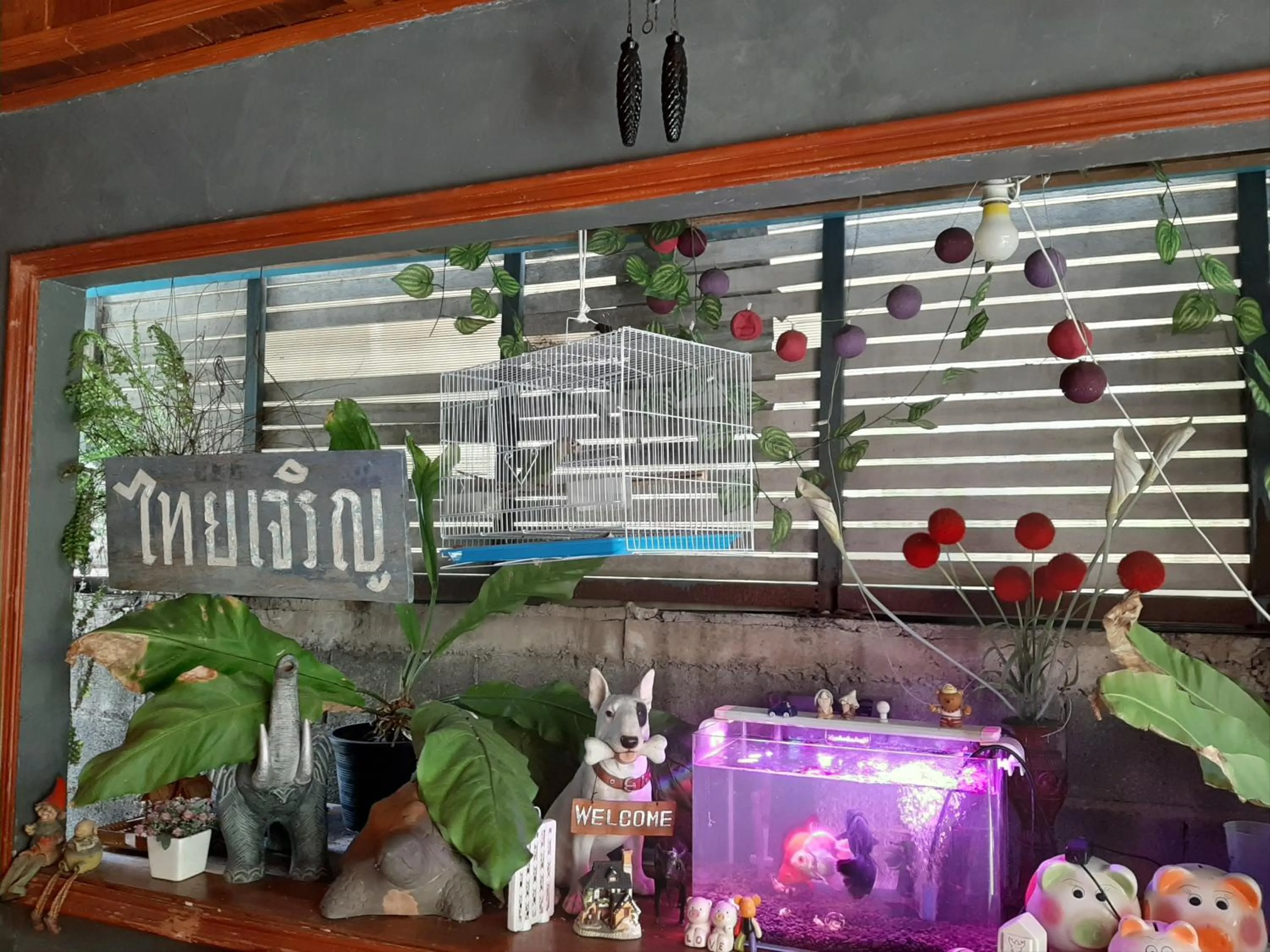 Animals in Vanlisut Hotel Ngamwongwan