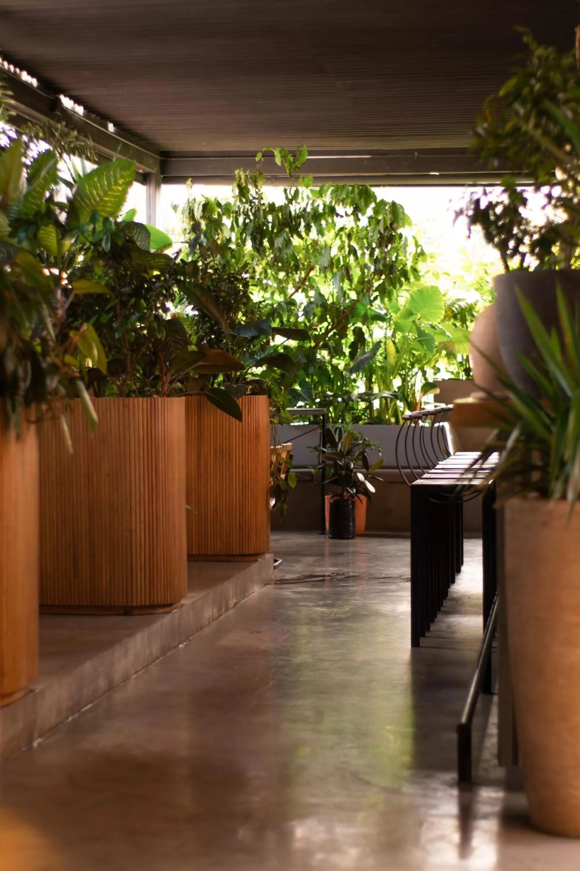 Restaurant/places to eat in The Art Hotel Medellin