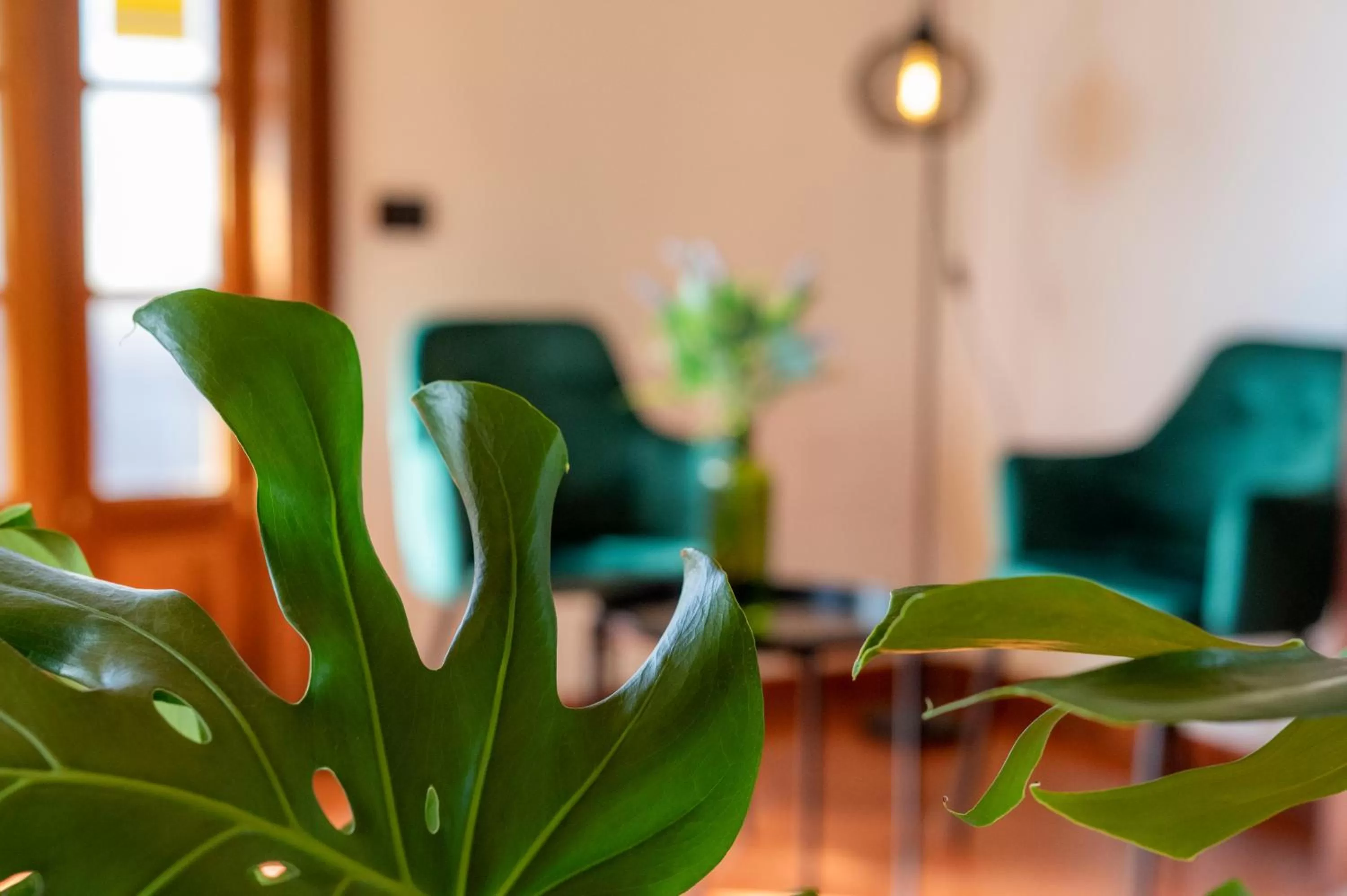 Decorative detail in Hotel El Tejar & Spa