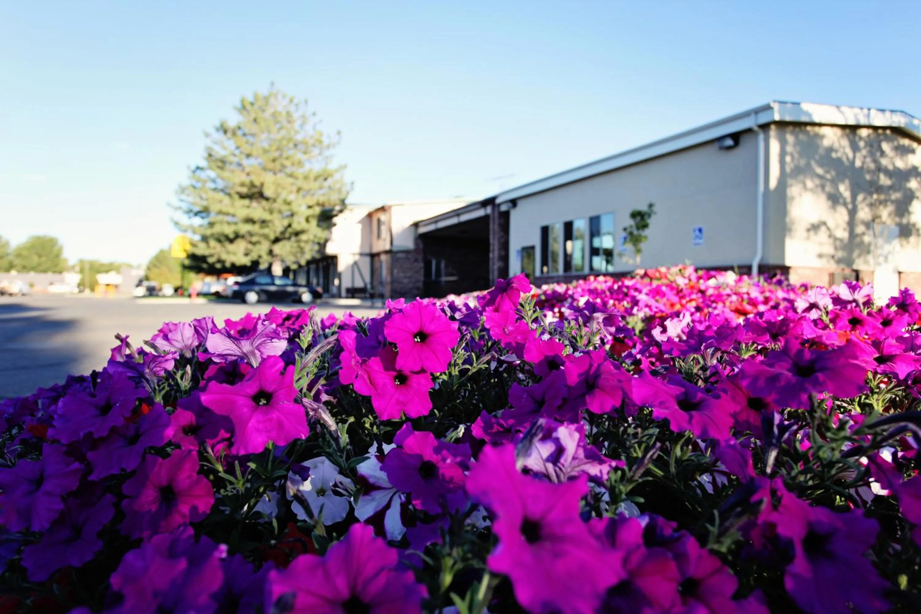 Decorative detail in National 9 Inn Price