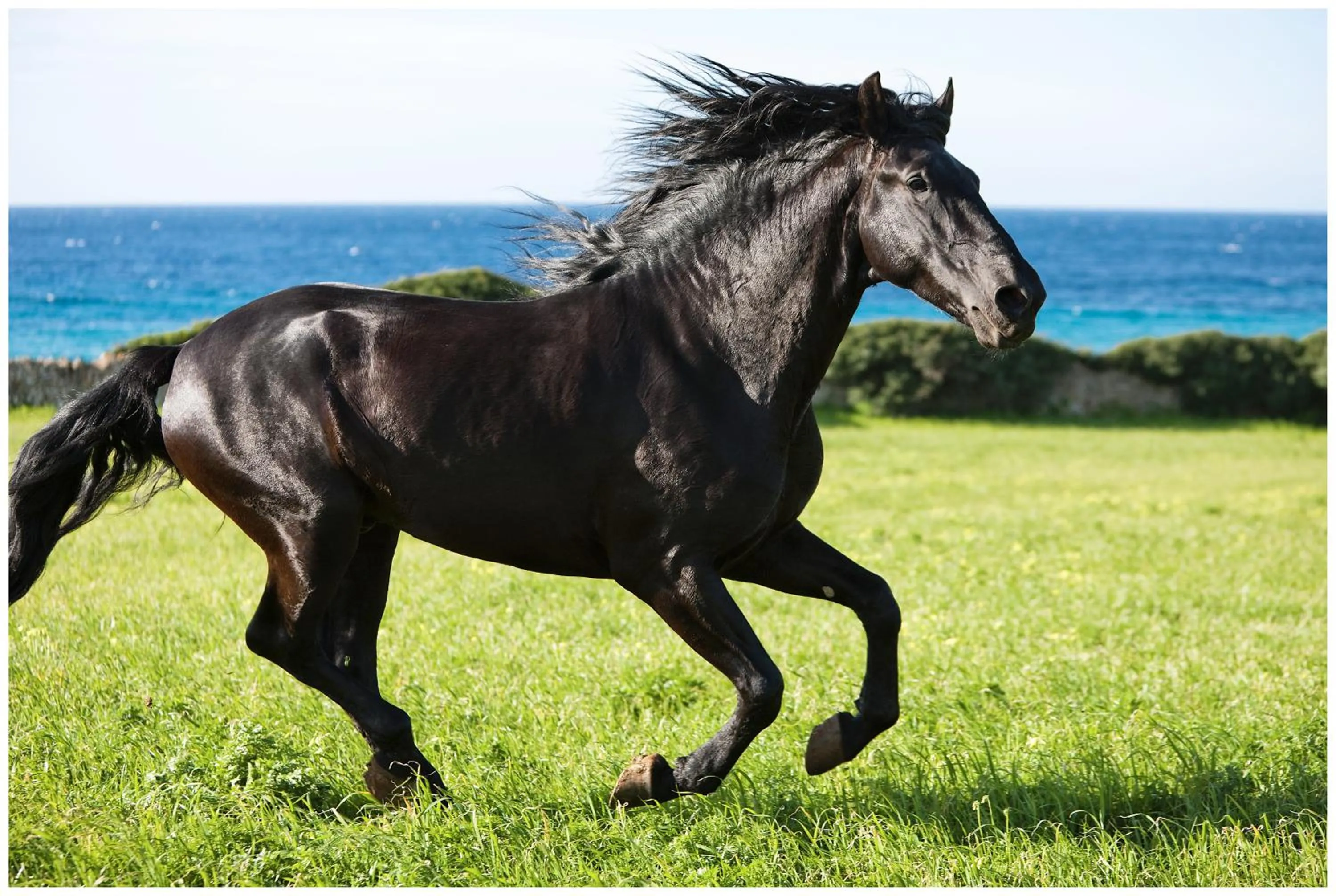 Horse-riding in Hotel Rural Binigaus Vell