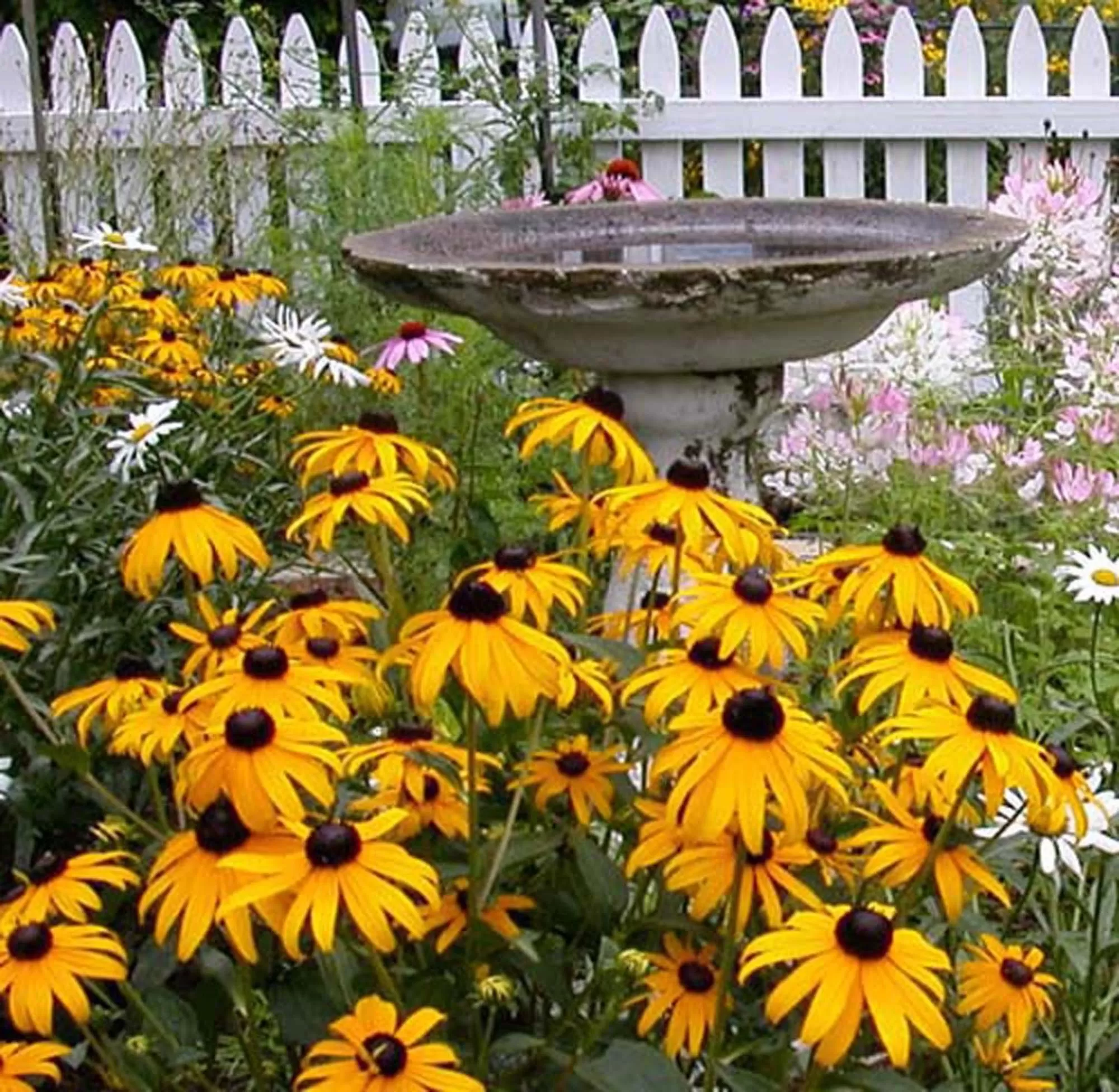 The Morrison House Bed and Breakfast