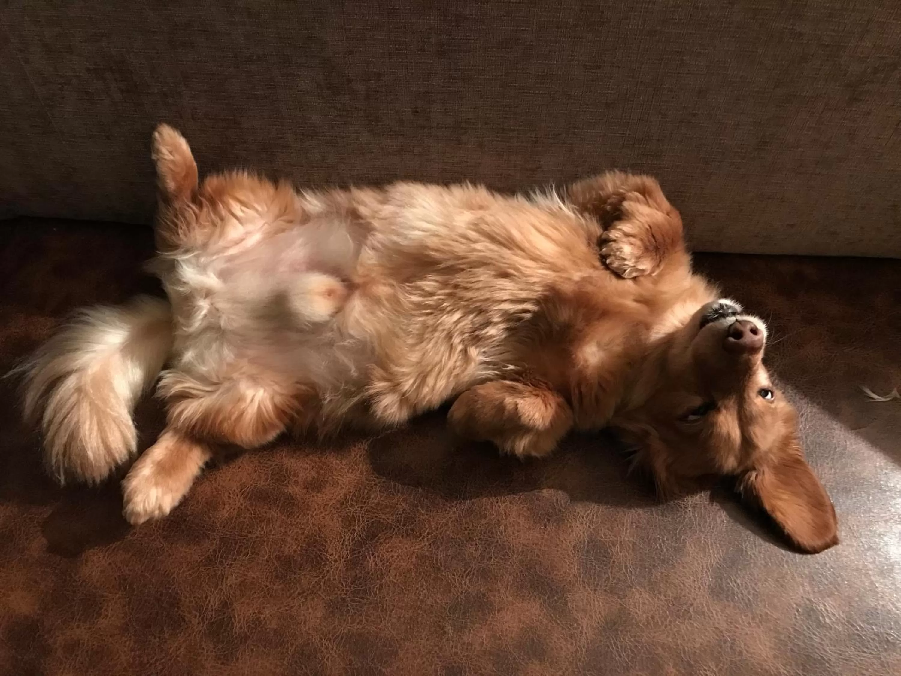 George and Dragon Ashbourne