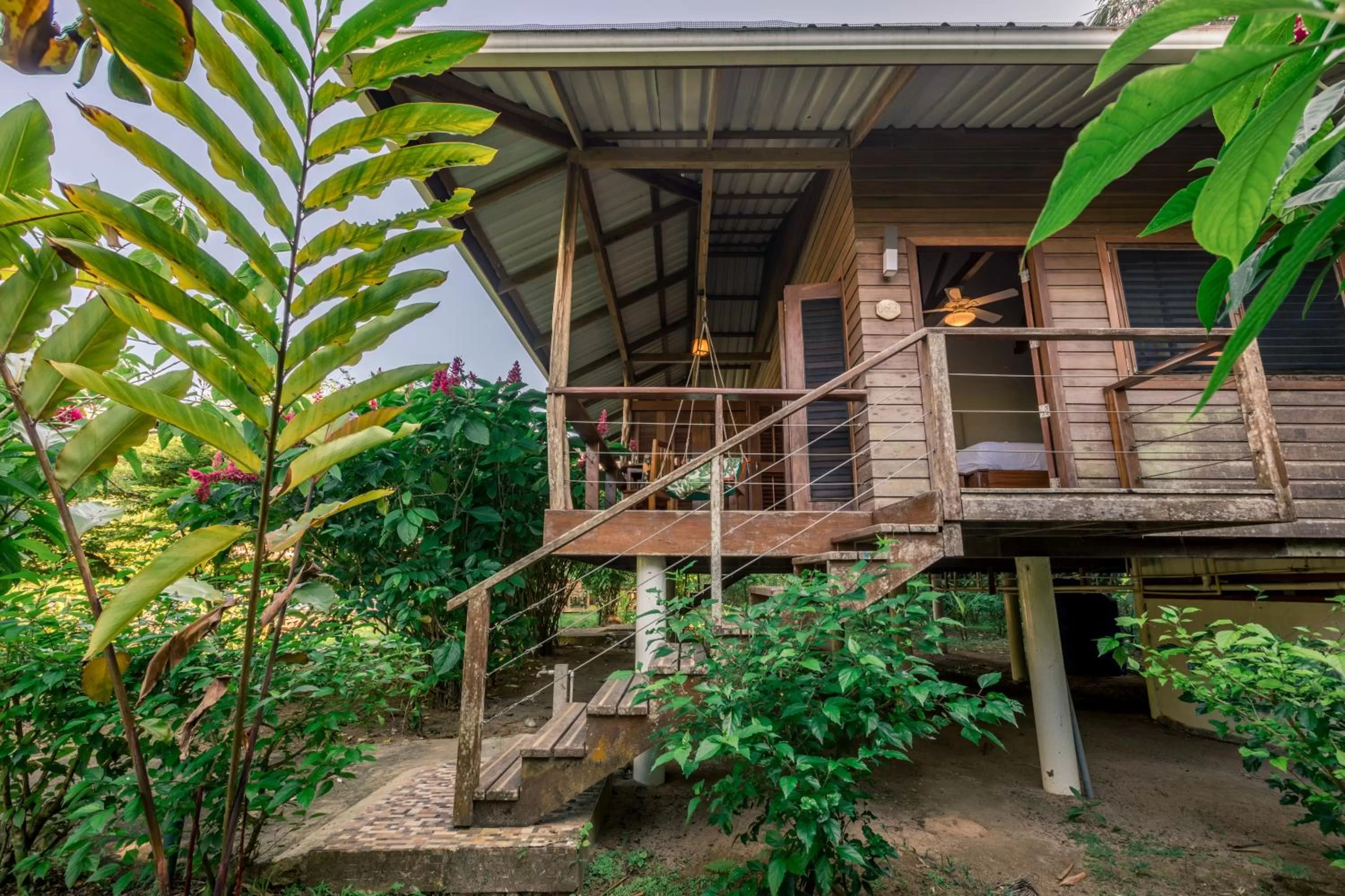 Garden in The Hummingbird