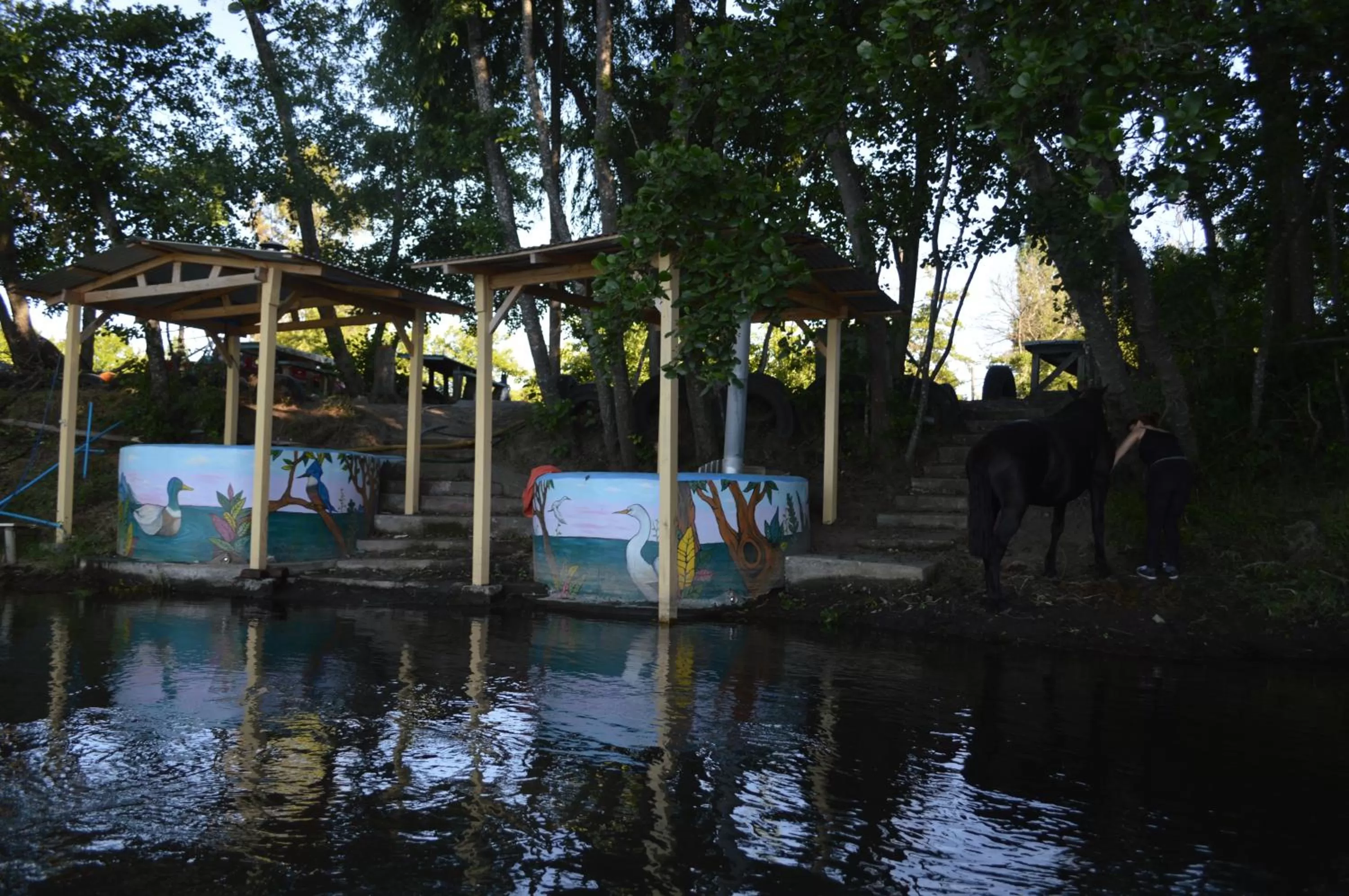 Coyunche Cabañas y Camping Laja & San Rosendo