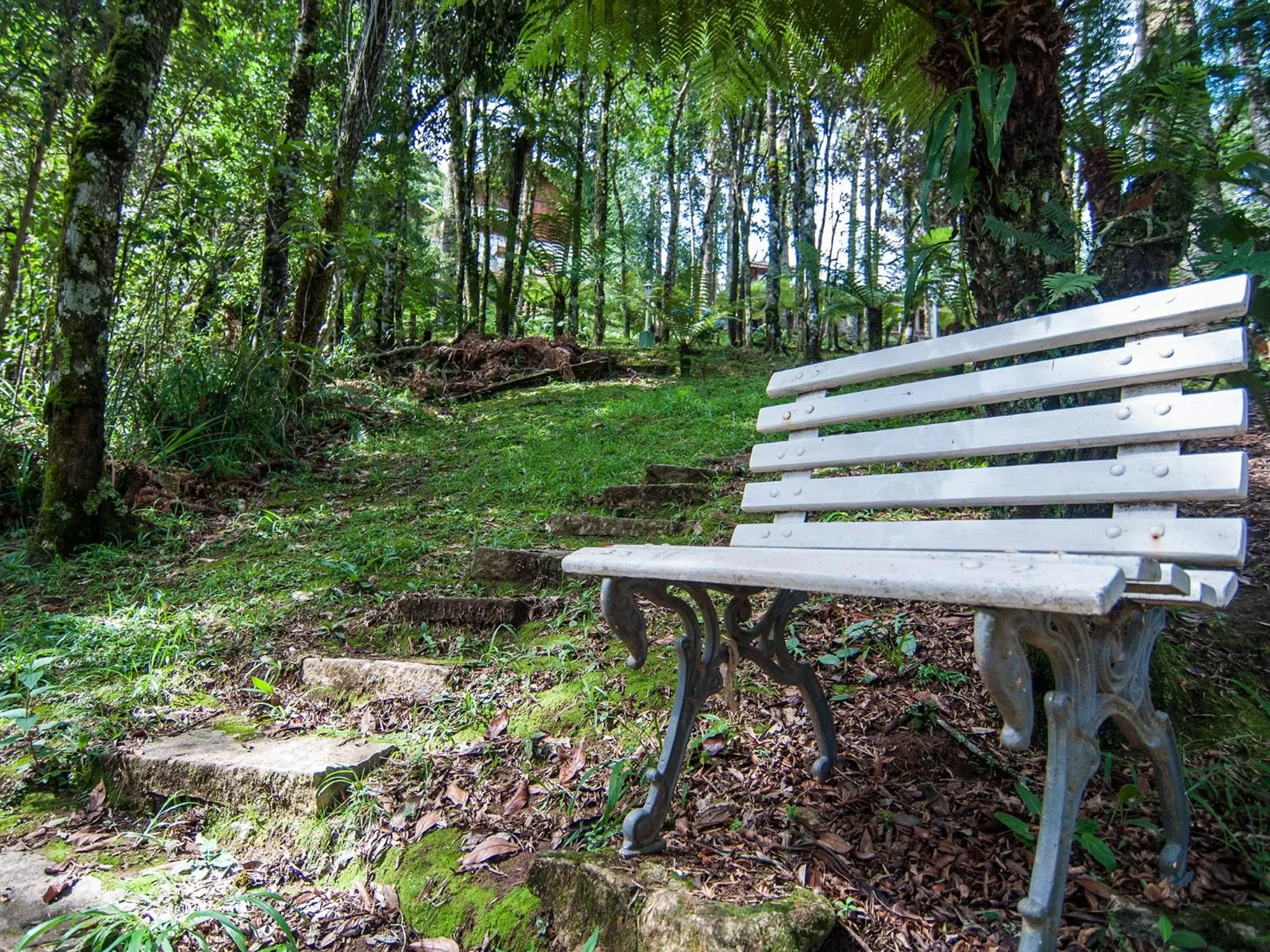 Garden in Pousada Ricanto Amore Mio