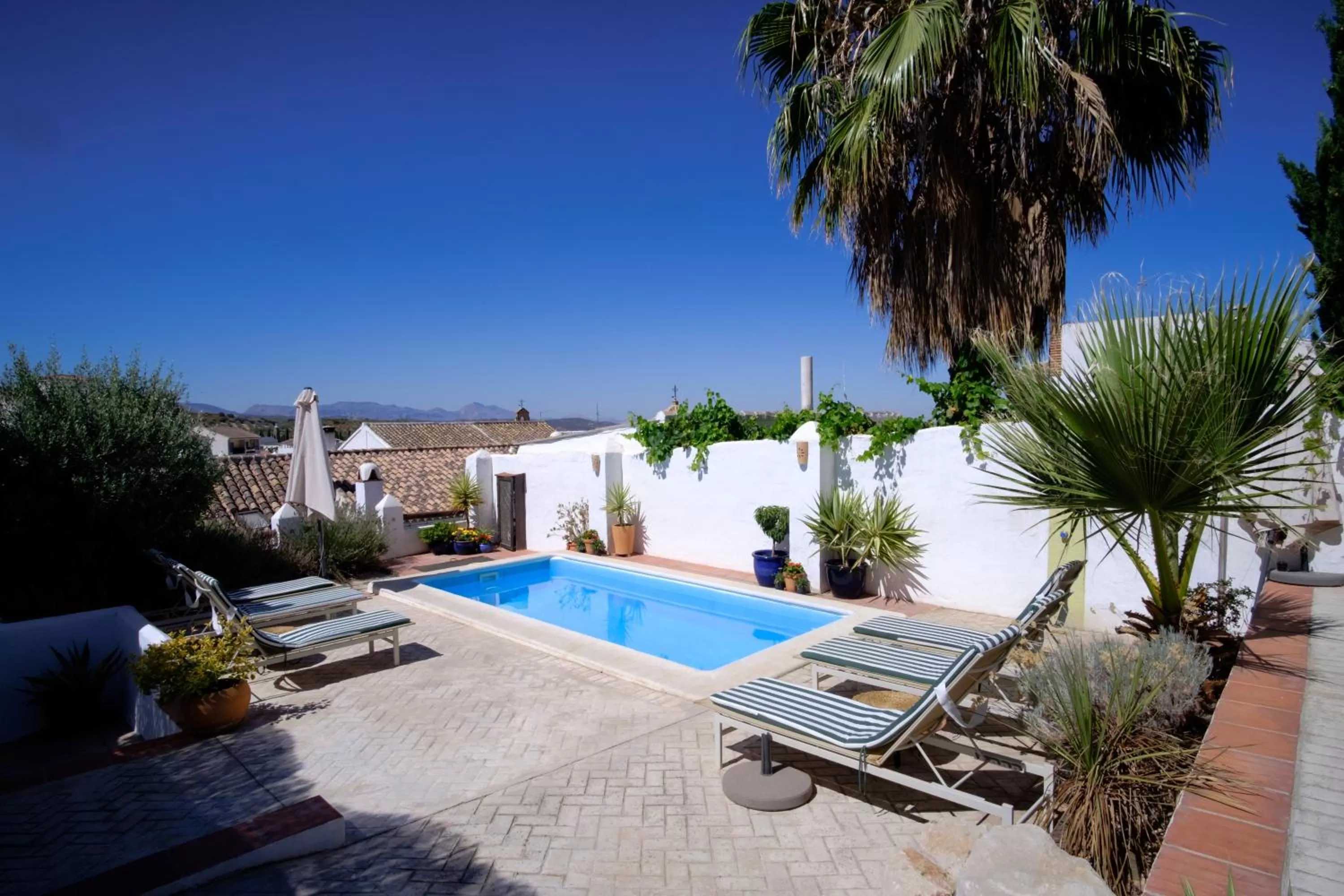 Swimming pool in Almohalla51