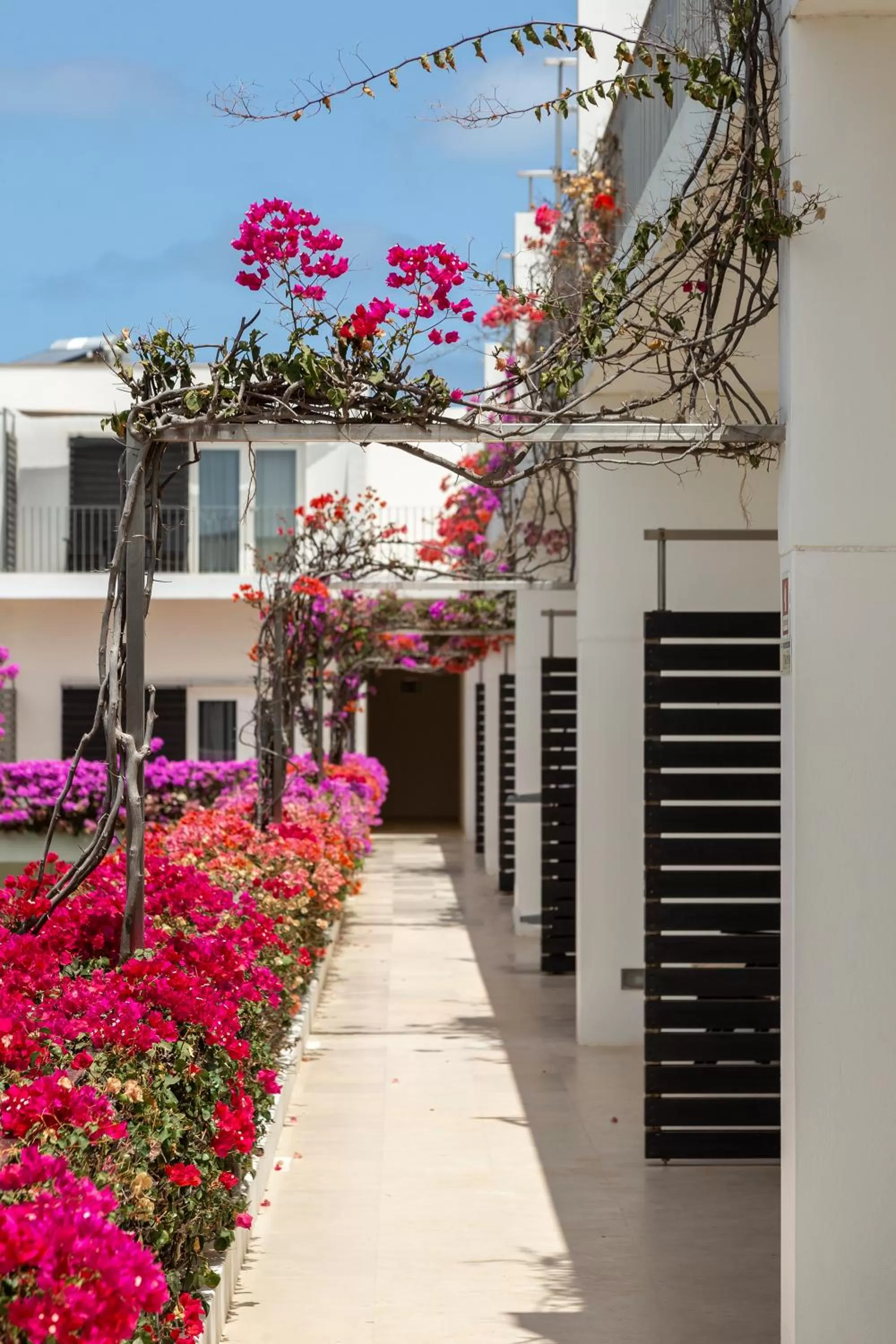 Property building in Hotel Dunas de Sal