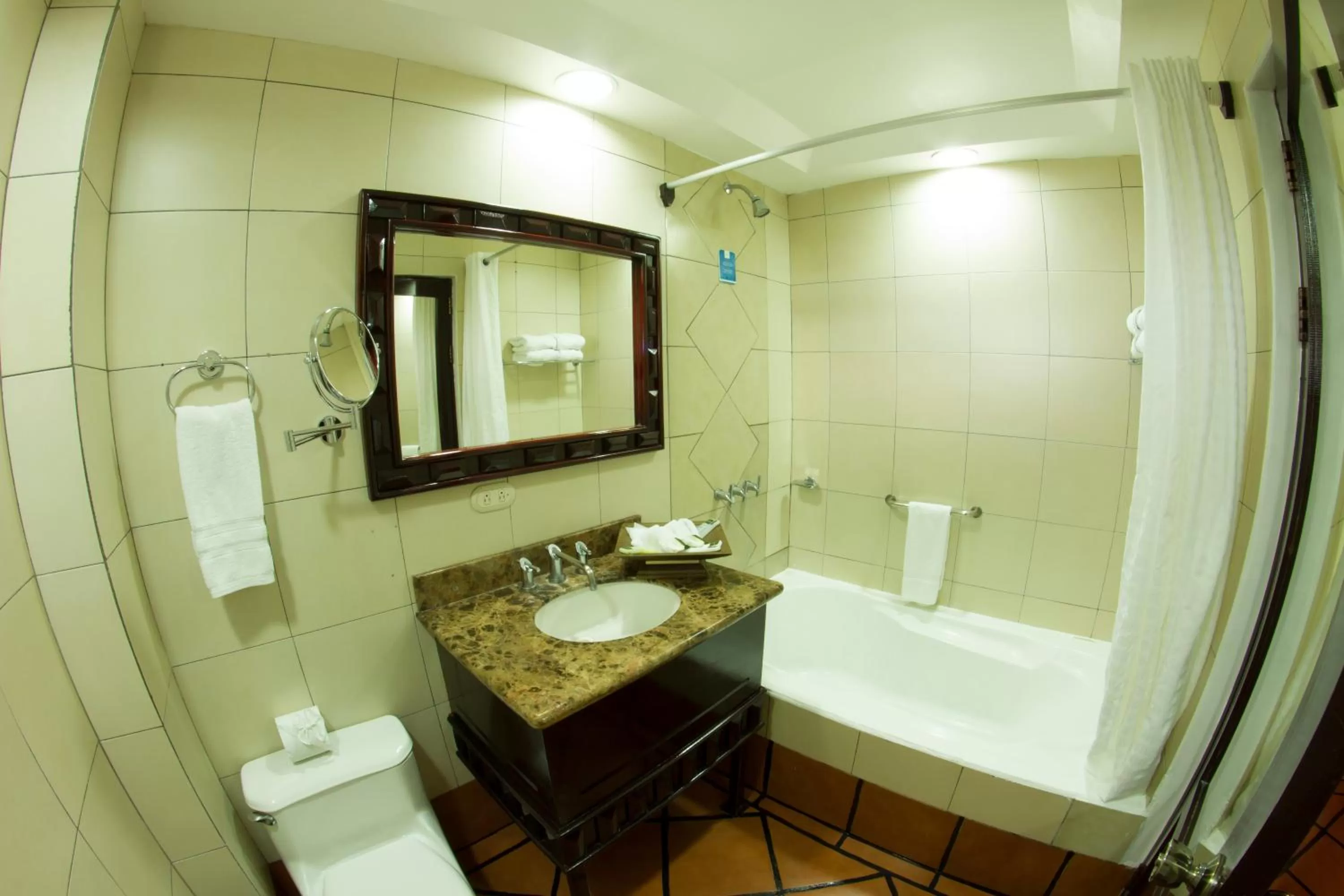 Bathroom in Baldi Hot Springs Hotel & Spa