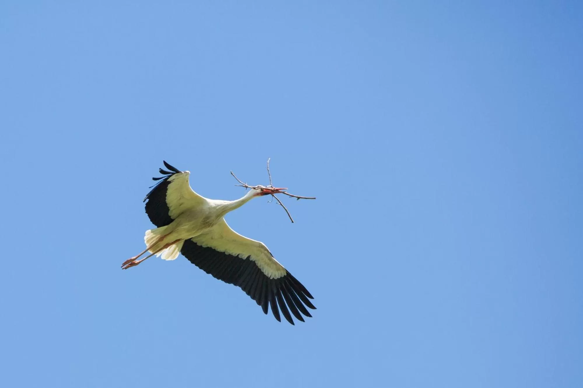 Other in Villa Abbondanzi Resort